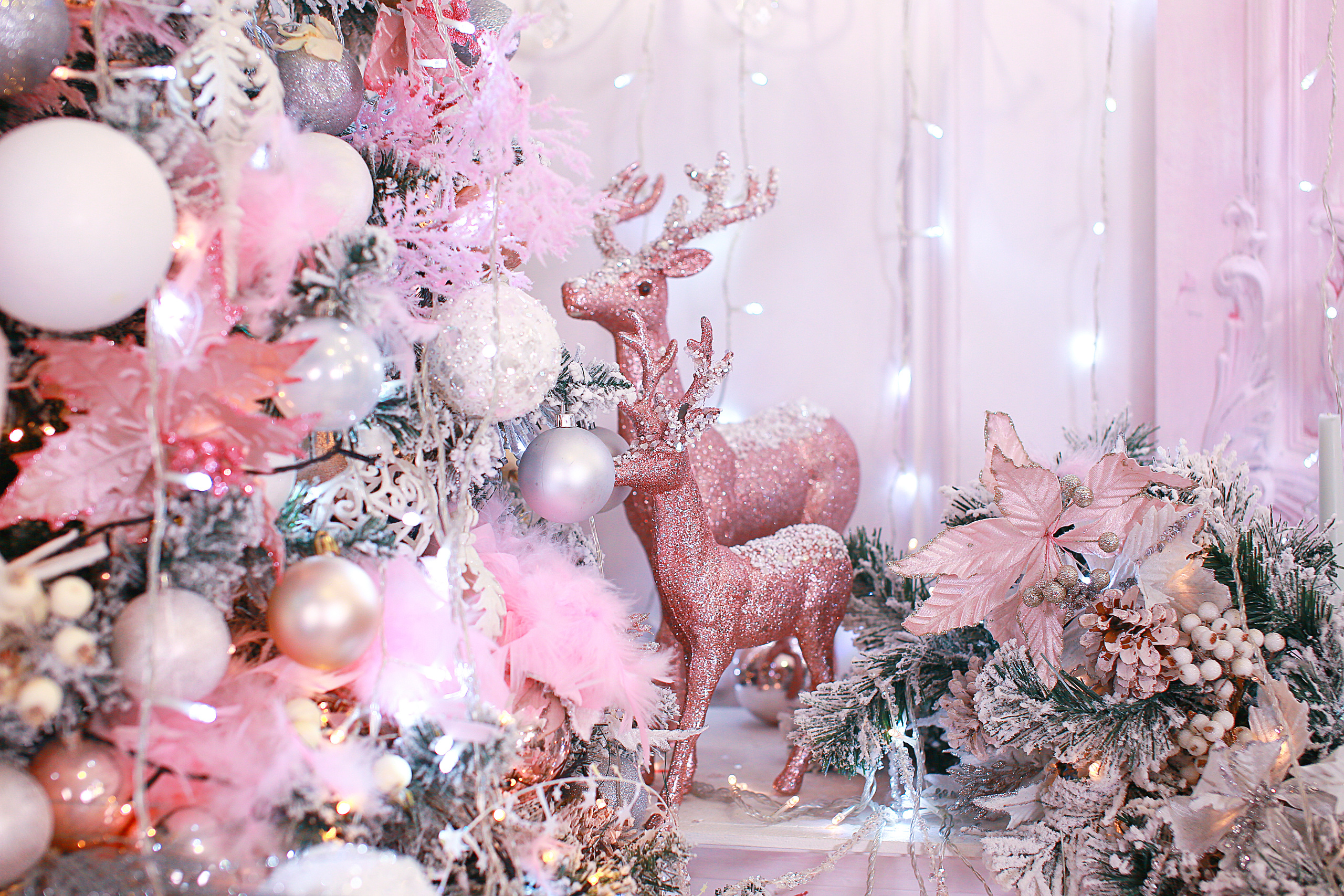 Новогодний фотодень 2020. Свадебный и семейный фотограф/видеограф в Краснодаре Наталья Осинская