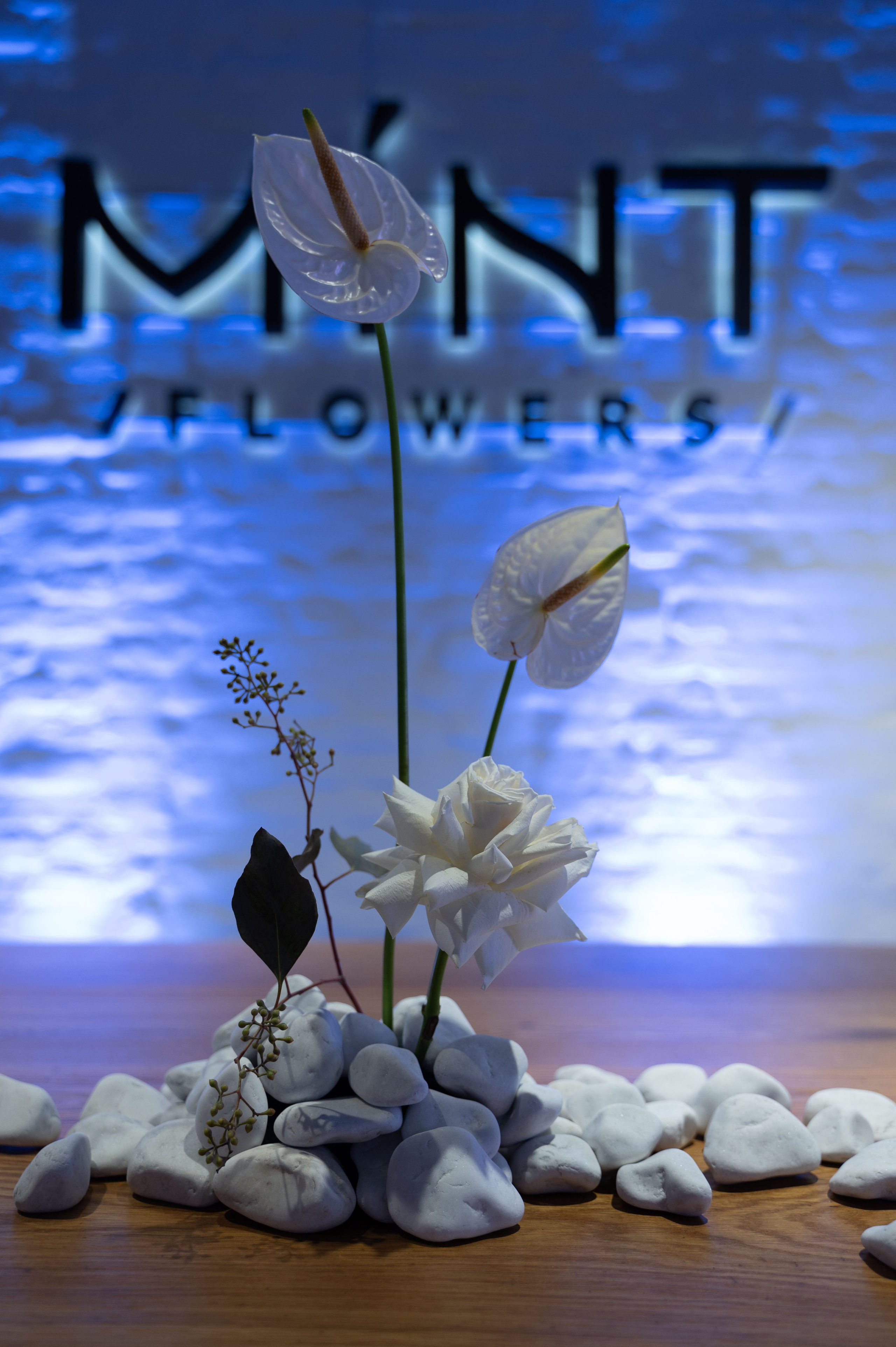 MINT FLOWERS. Свадебный фотограф Минск