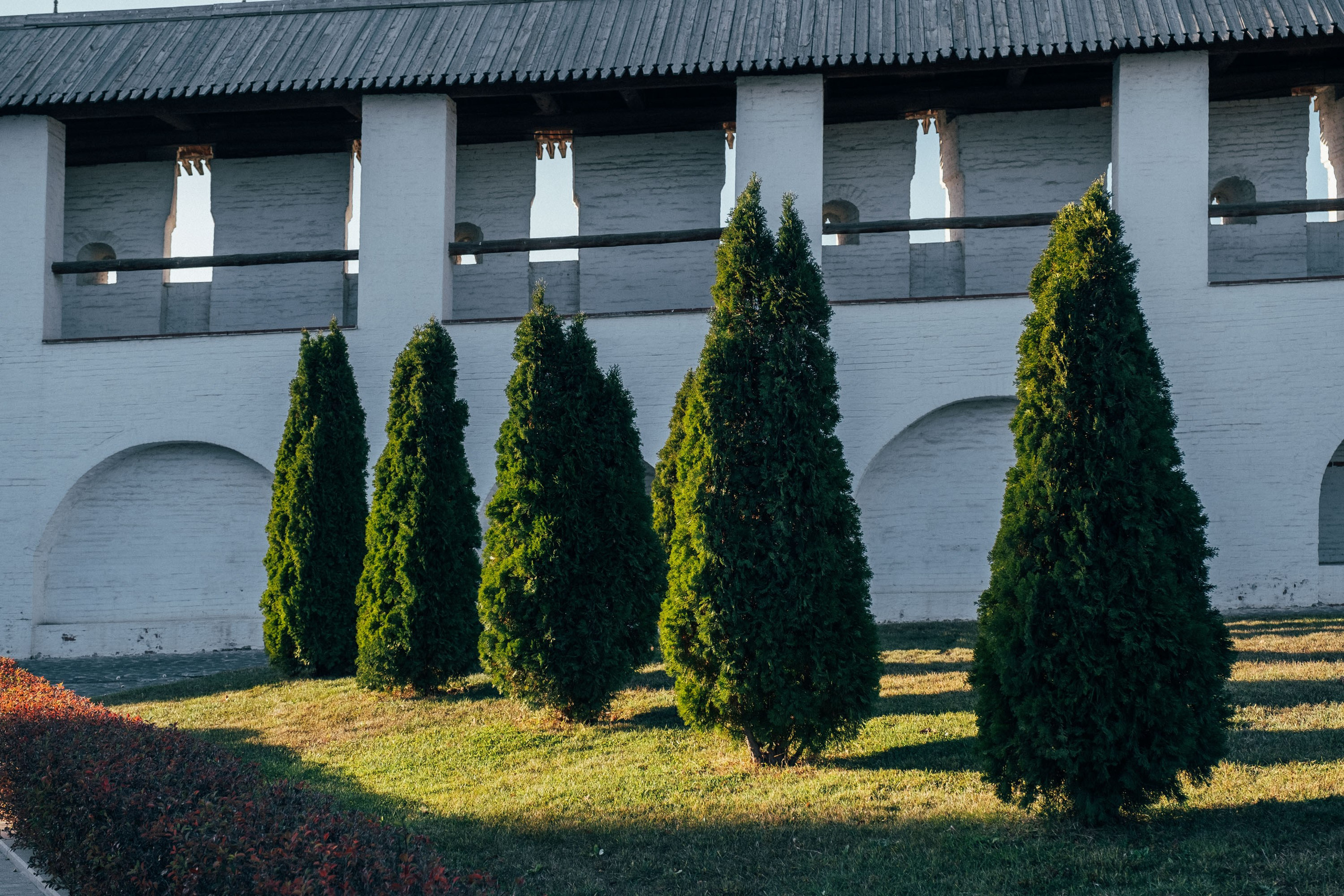19.11.14. Фотограф Анатолий Деникин