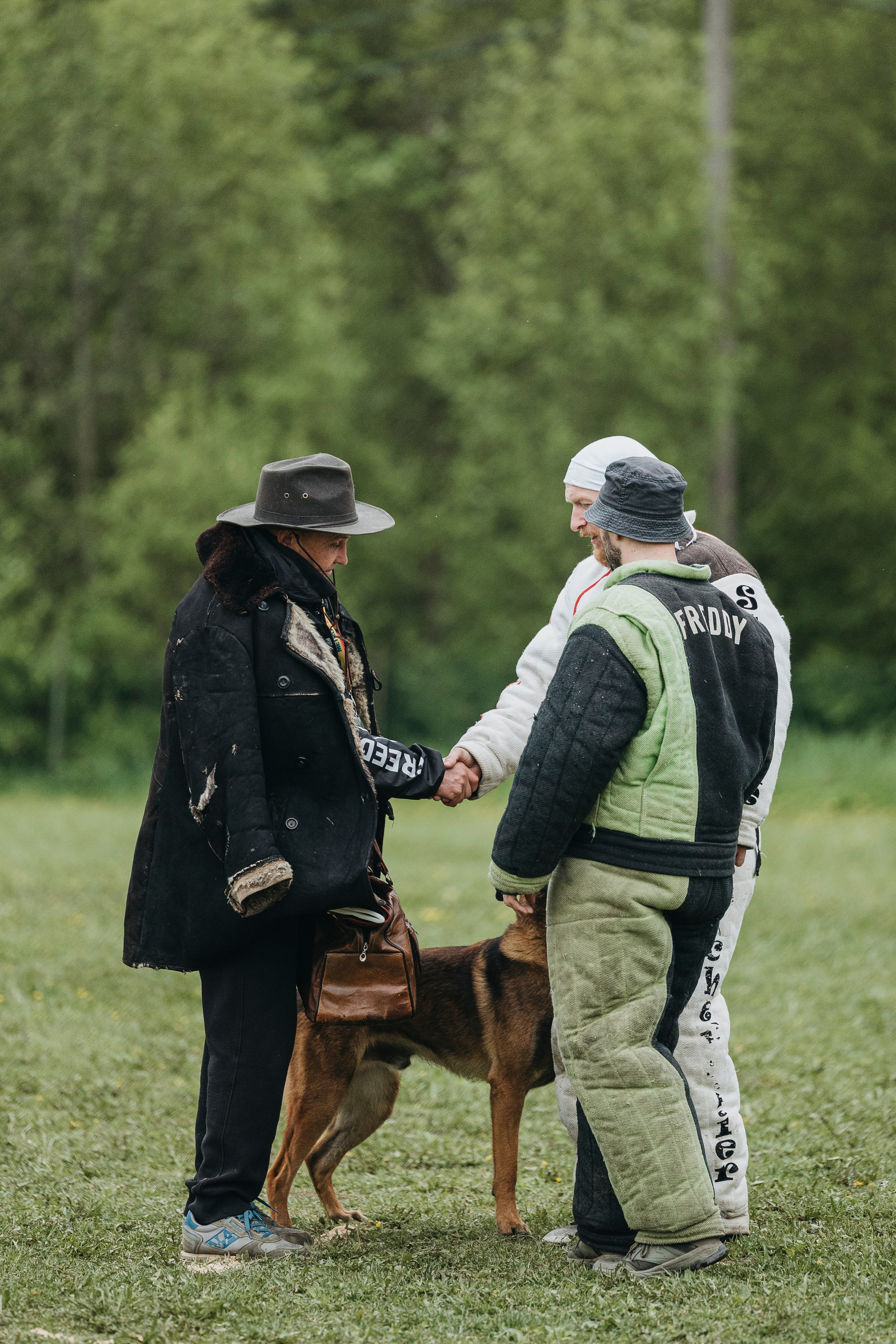 26.05.25 г. Пушкин квалификационные соревнования. Фотограф-анималист Анна Маринич