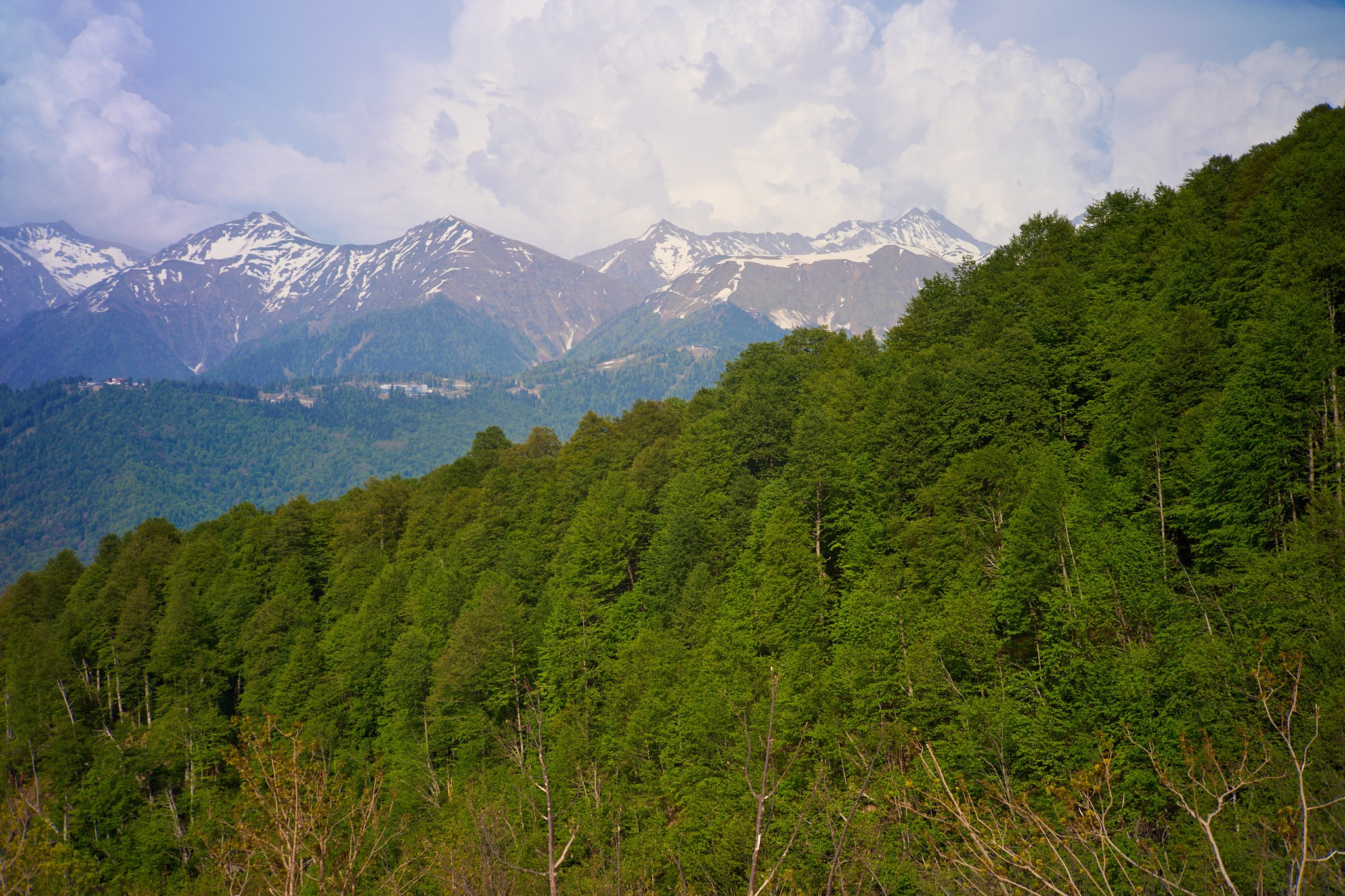 Красная Поляна, апрель 2024. Фотограф, Римма Невинская