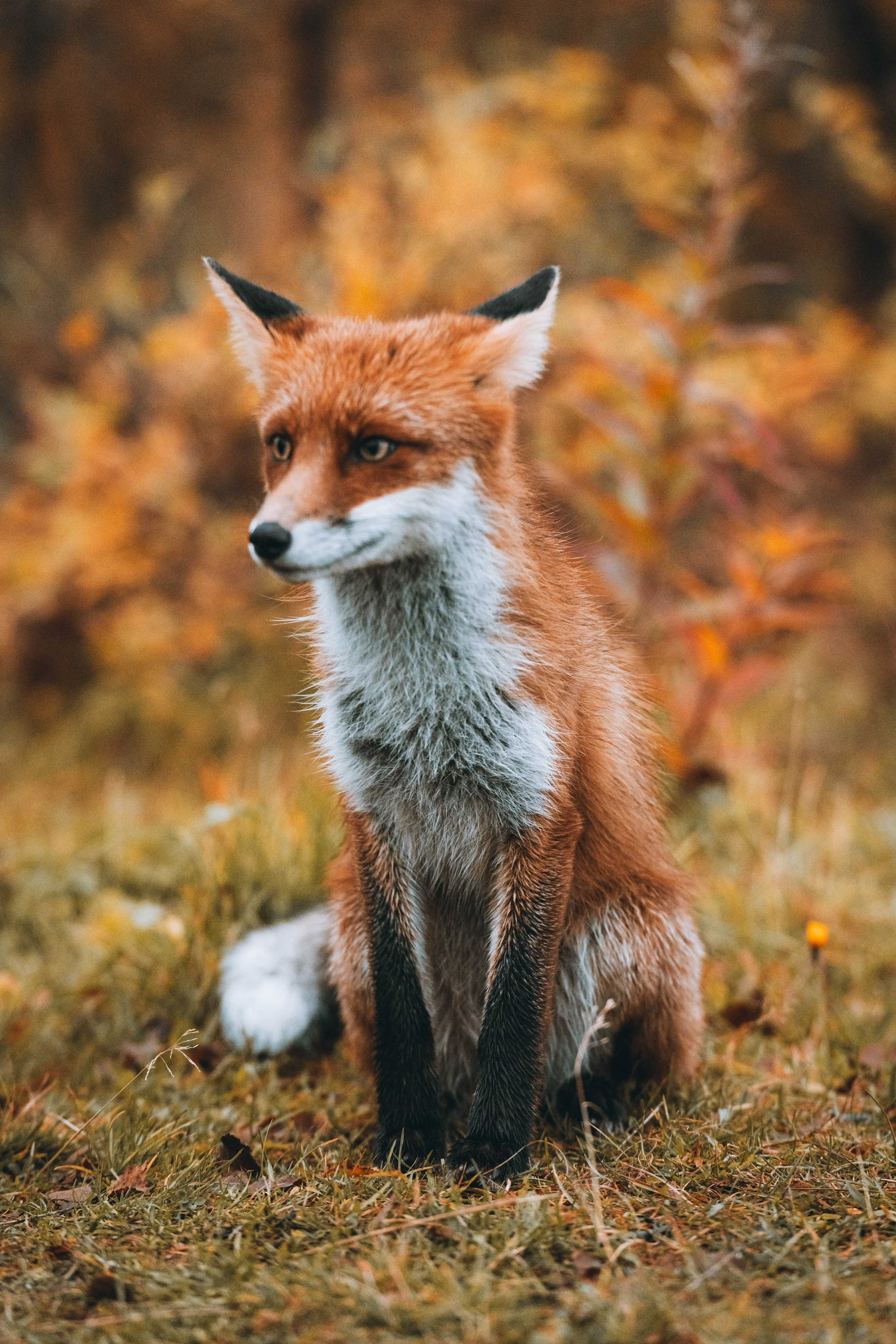 СЕВЕР. Event фотограф Степанова Александра