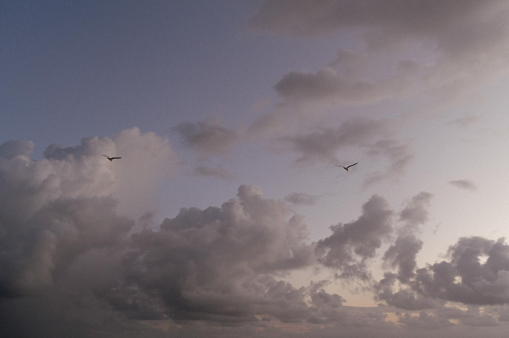 2021 Доминикана. Рома, Лера и океан. Свадебный фотограф Абрамова Ксения