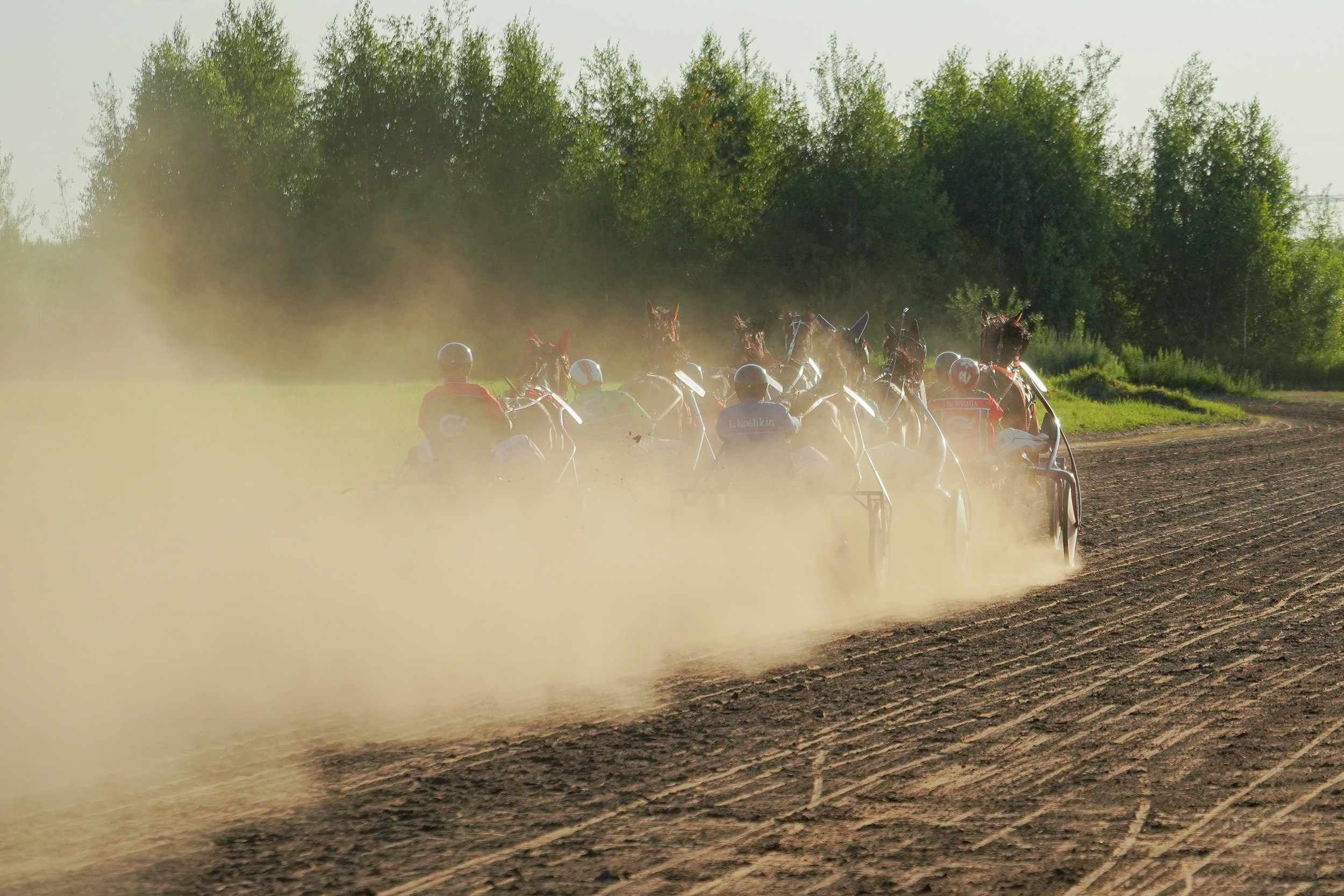 III конные бега на Кубок Главы Чувашии. Фотограф-анималист, портретный фотограф в Чебоксарах Мария Садыкова