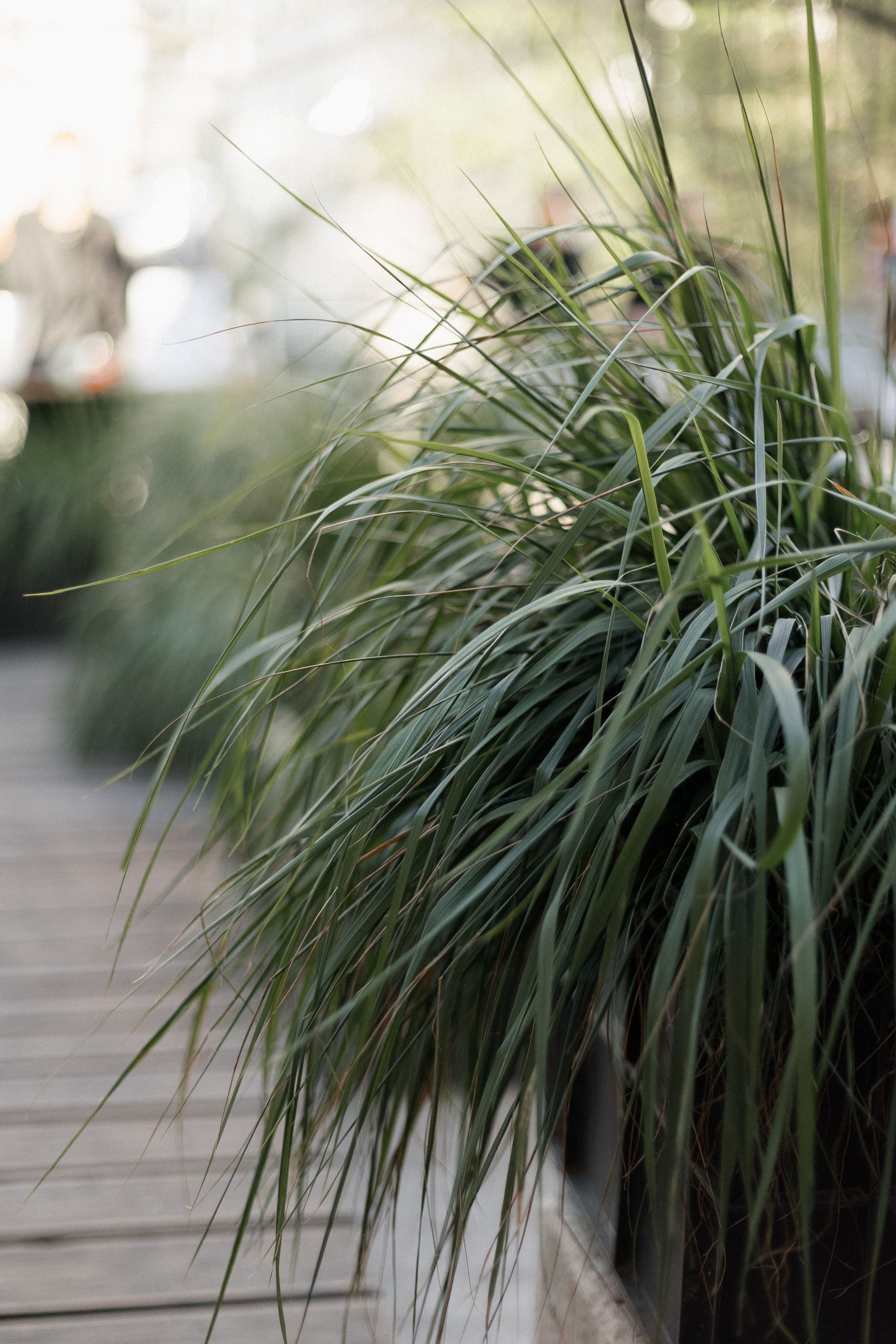 WALK-IN-DAY by MUKHINA TATTOO. СВОИ. ФОТООТЧЕТЫ-СОБЫТИЯ-МЕСТА