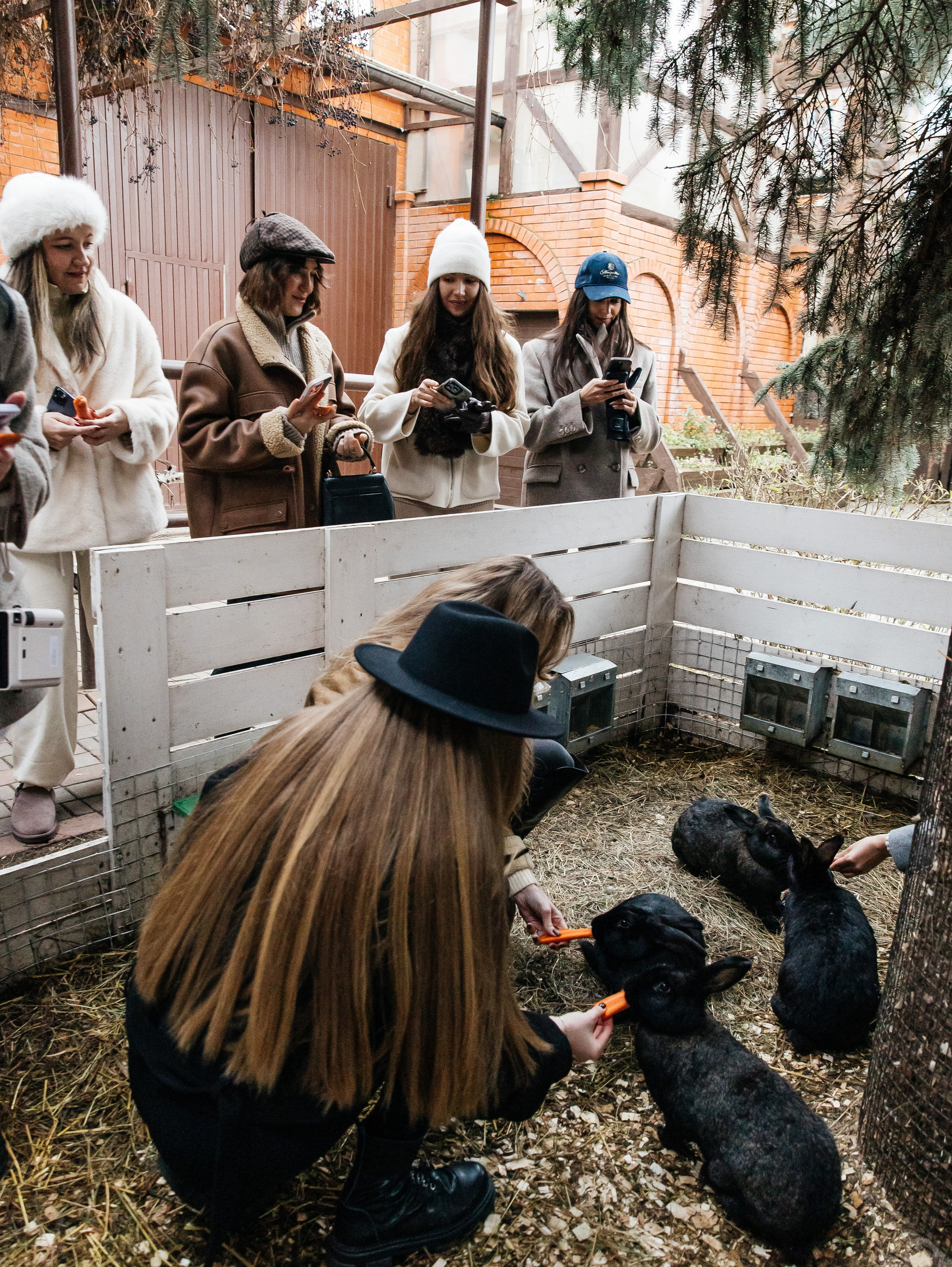 Ферма «Few Horses». Фотограф | портрет | бренды | репортаж