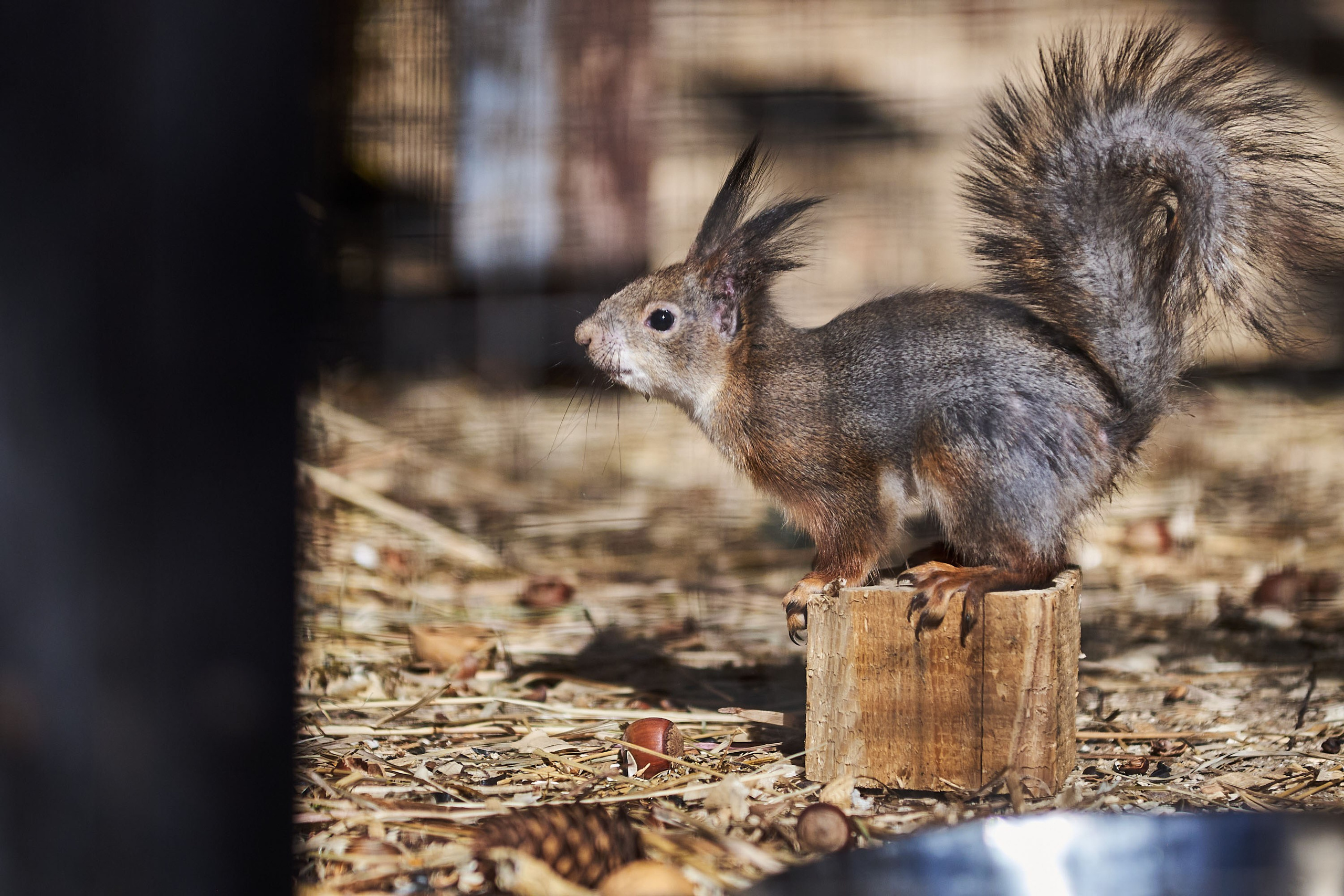 Зоопарк Иваново. Фотограф в Иваново: Каталожная съемка одежды и постельного белья, Wildberries
