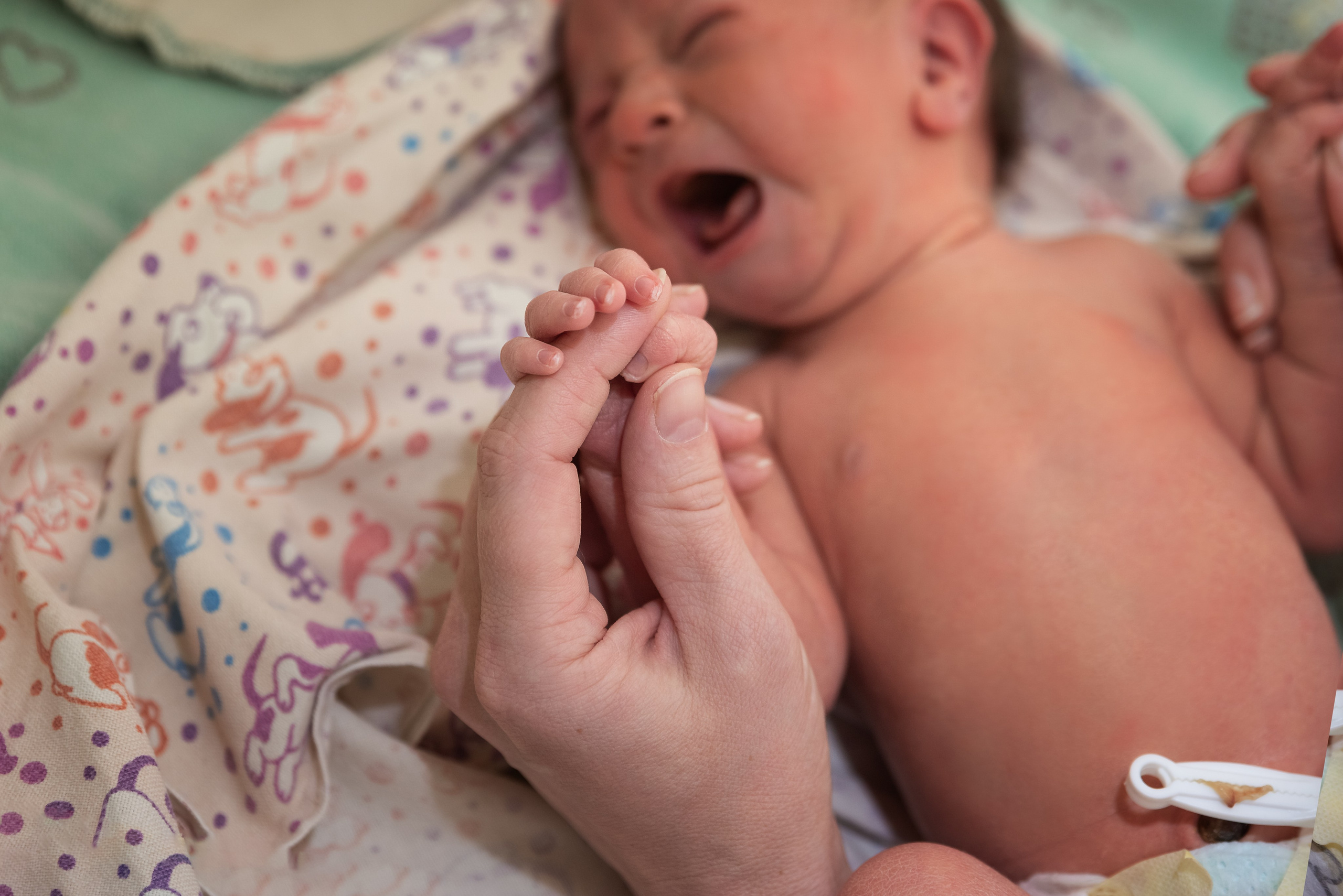 Артём выписка. Фотограф новорожденных Екатеринбург, Первоуральск