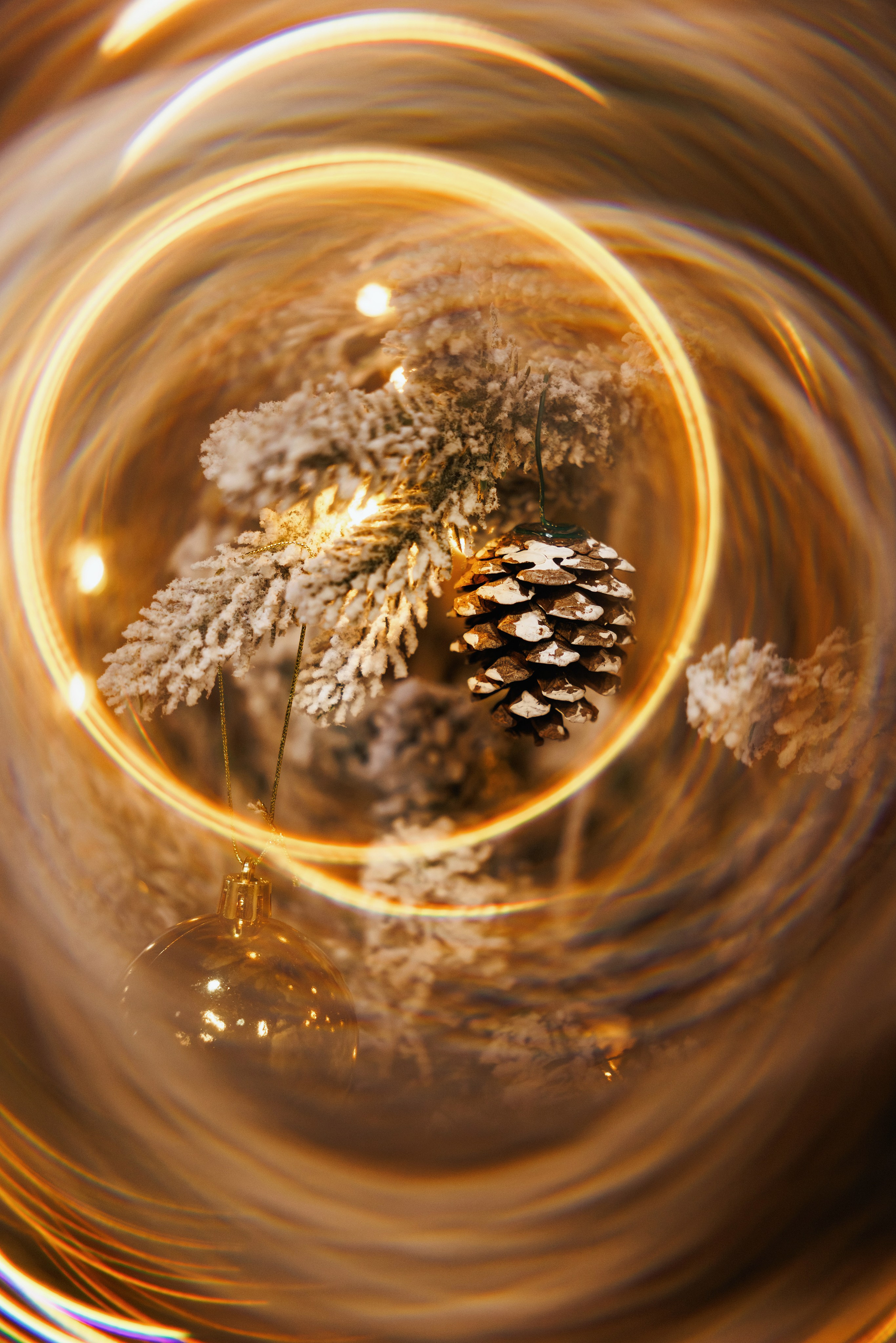 Про-Бизнес-Парк. Зимняя встреча резидентов. Фотограф Виталий Хайлов, Екатеринбург