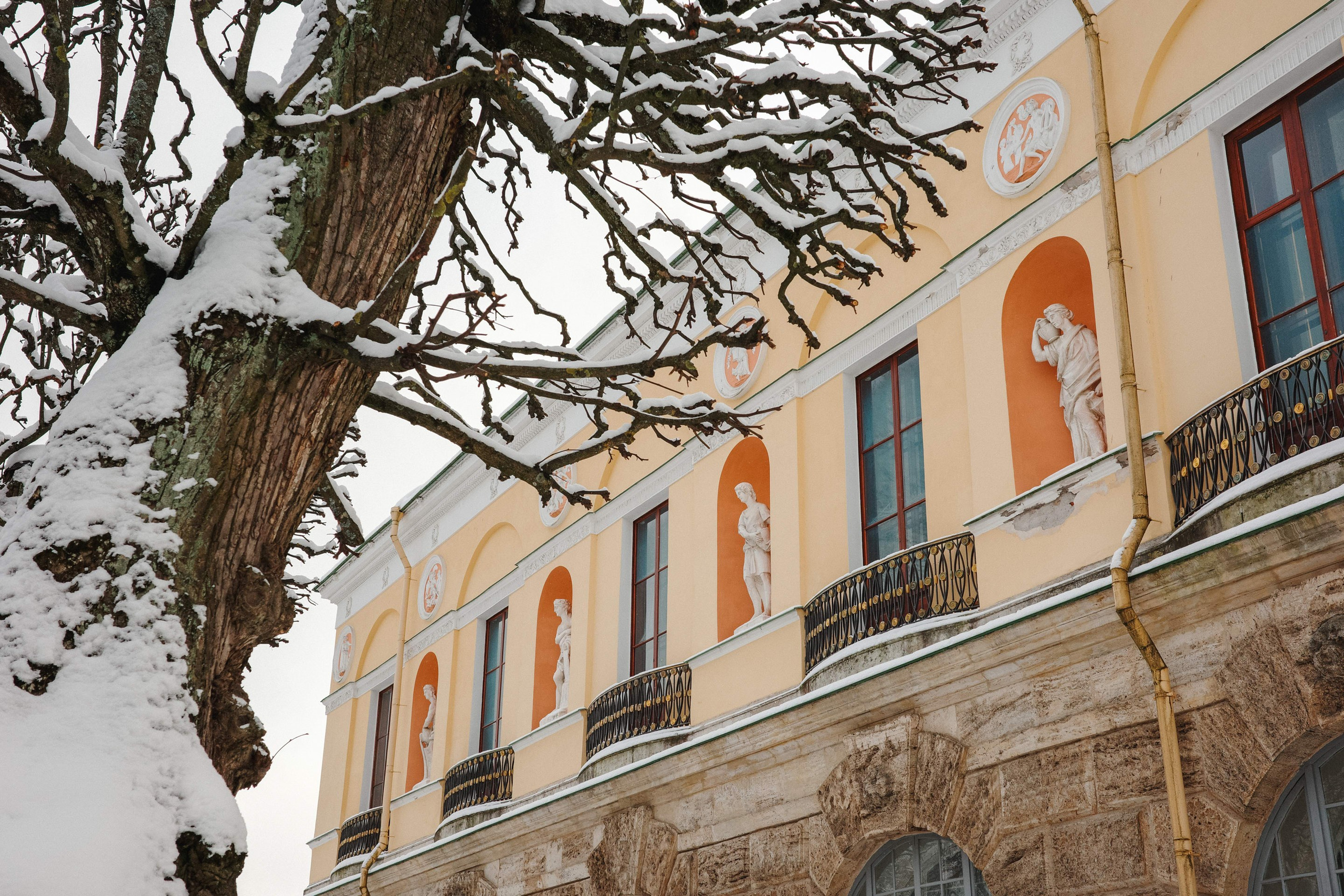 2025.02. Фотограф Алексей Алексеев