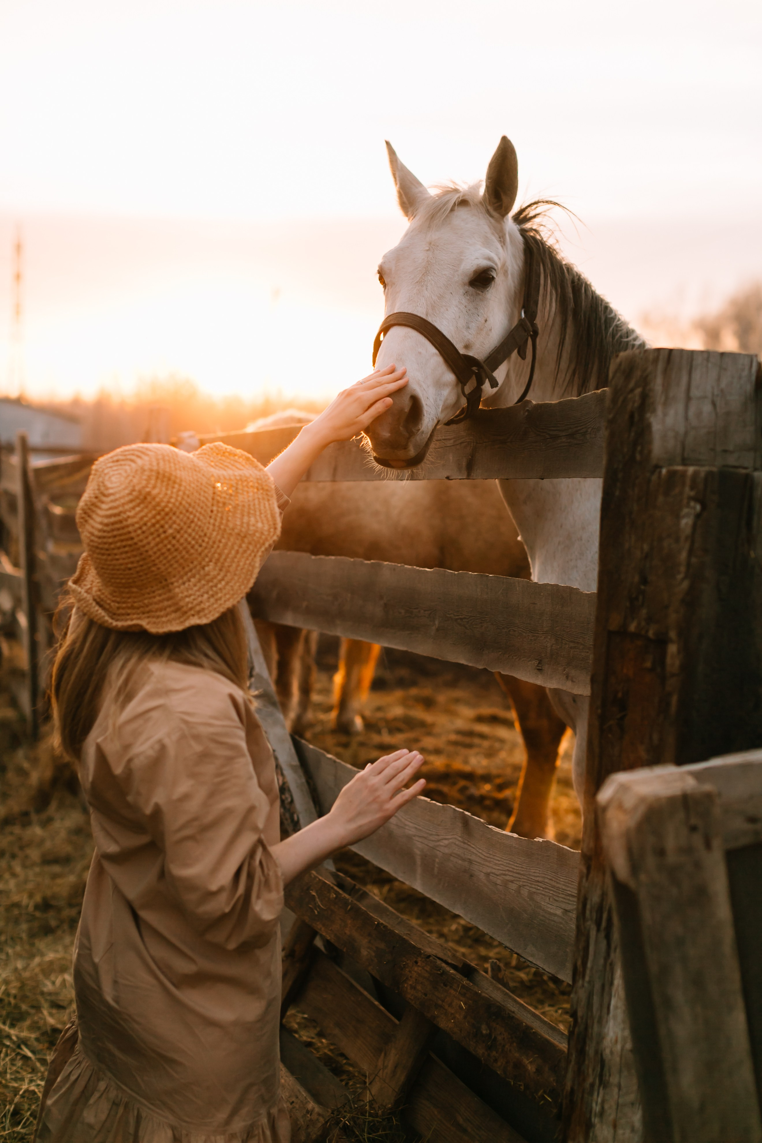 алёна малахова фотограф новосибирск семейный детский домашняя фотосессия в новосибирске день рождения репортажная съёмка фотосессия с лошадьми на конюшне деревня алтай  на природе фотосессия в детском саду мама и сын предложение руки и сердца идея  помолвка фотосессия берег закат детский день рождения годик торт аниматор лофт игровая продолжение следует prodoljenie_sleduet_  корпоратив тимбилдинг первоклашка линейка  контент  бизнес портрет