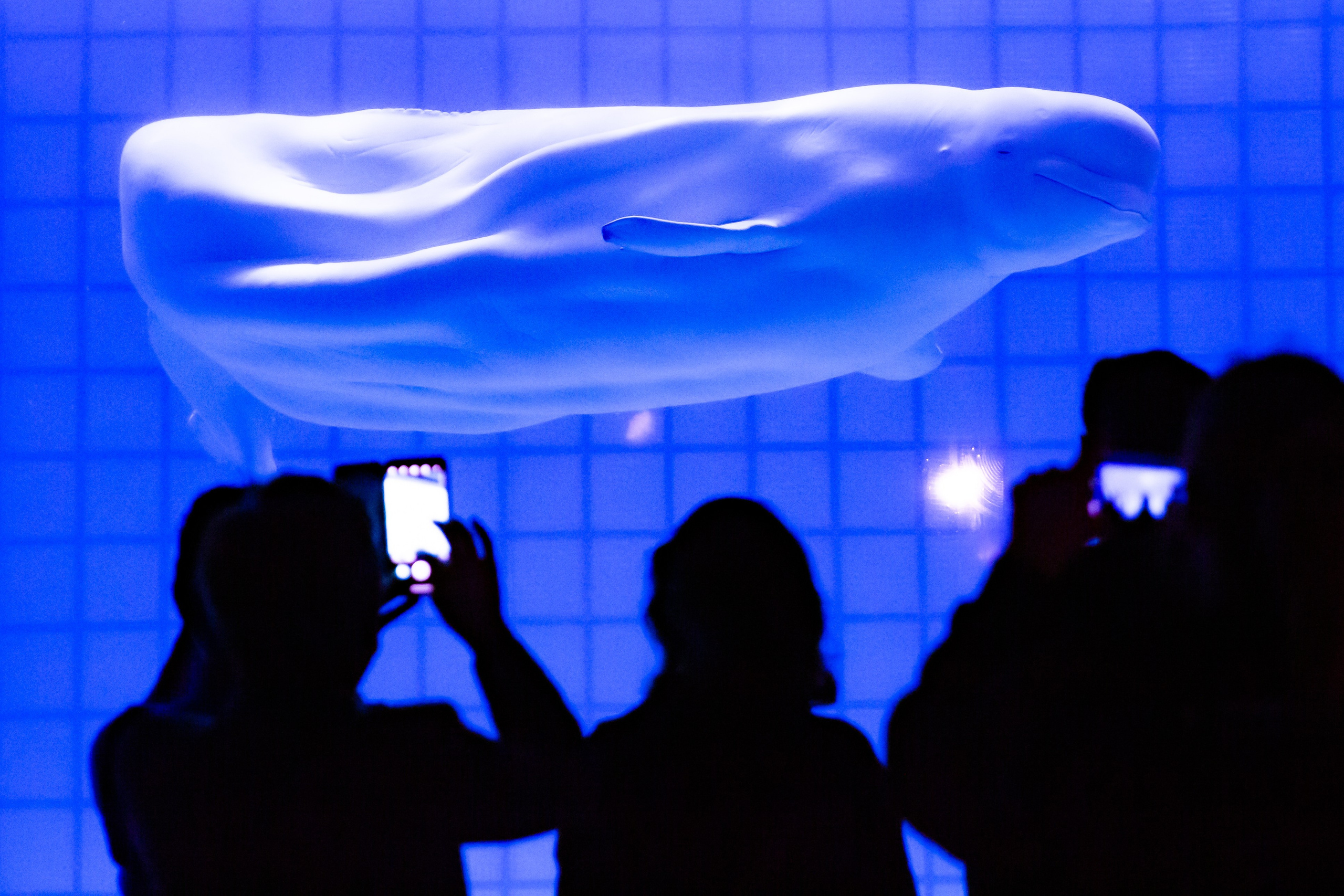 Репортажная съемка концерта. Фотограф и видеограф Апокина Мария Москва