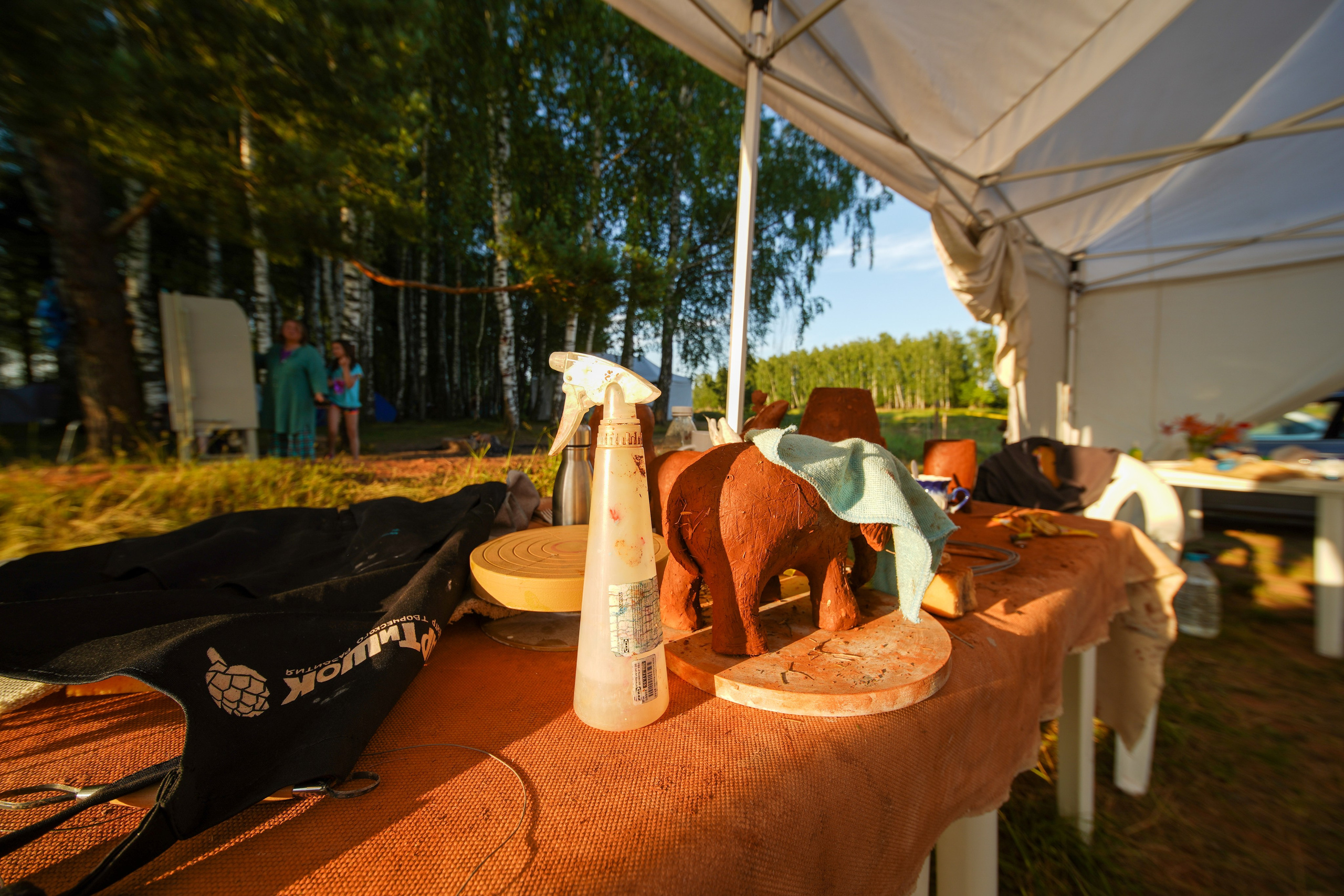 Wild fire 2024 — Дикий огонь 2024