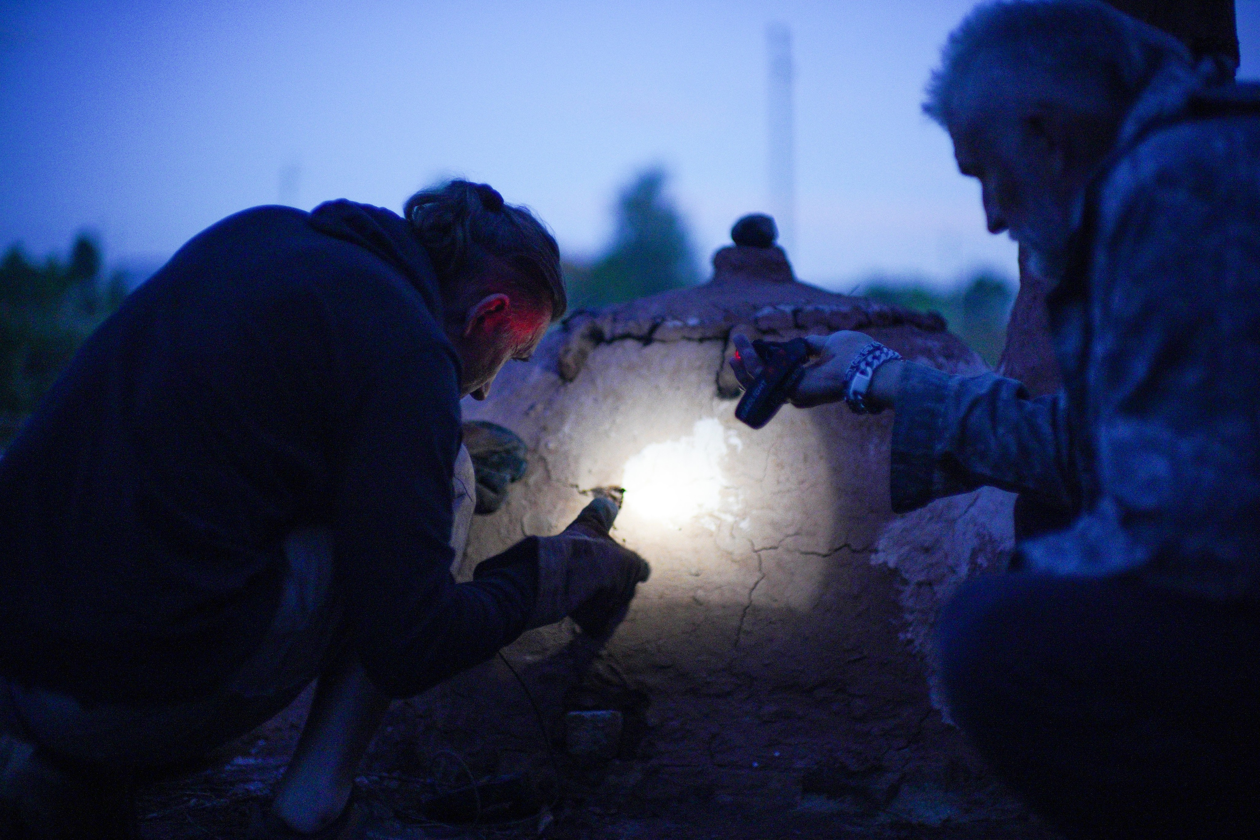 Wild fire 2024 — Дикий огонь 2024