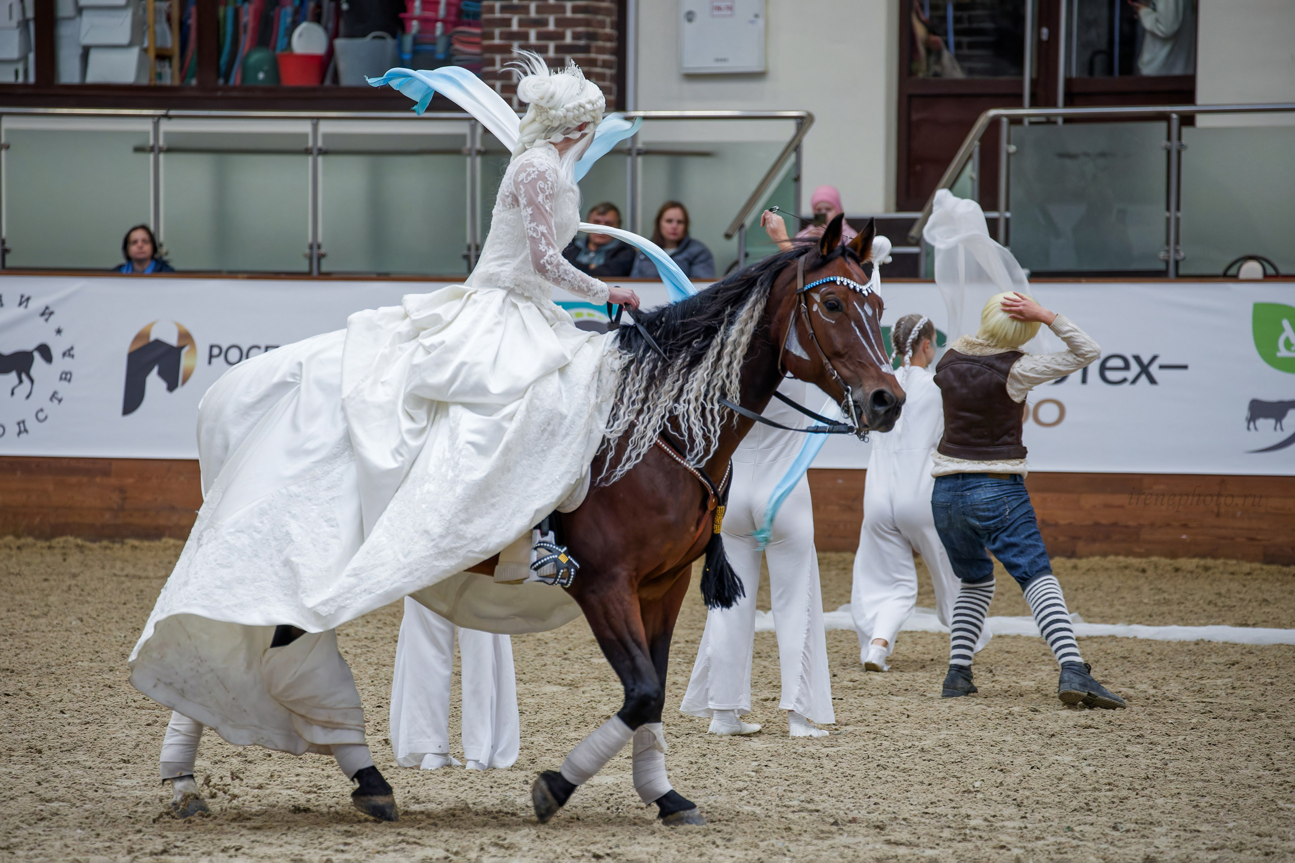 Конная Россия 2024. Irenephoto.ru