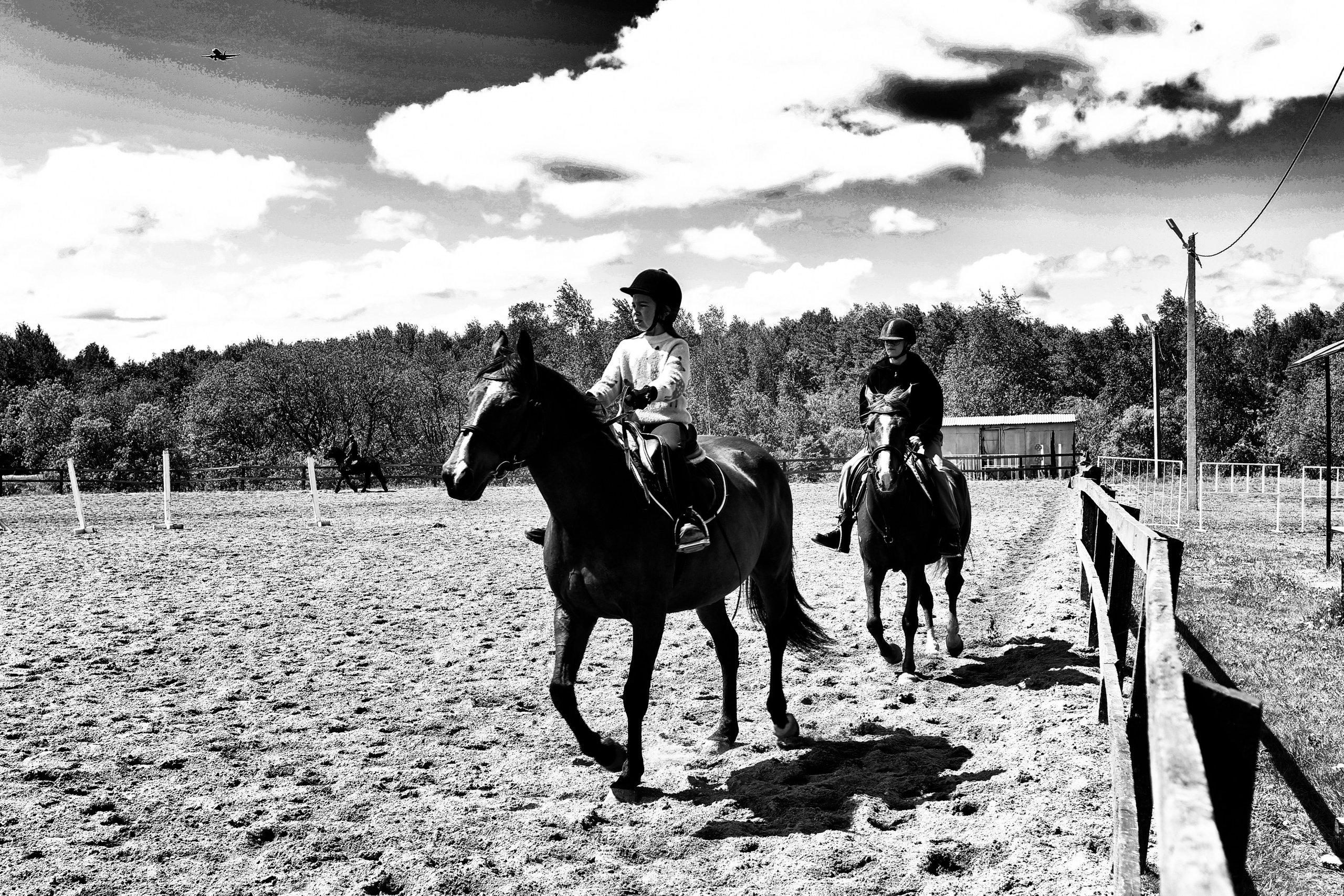 Лошади «Каскад» и «Брилиант». Алиса Томшина — Фотограф / Видеограф
