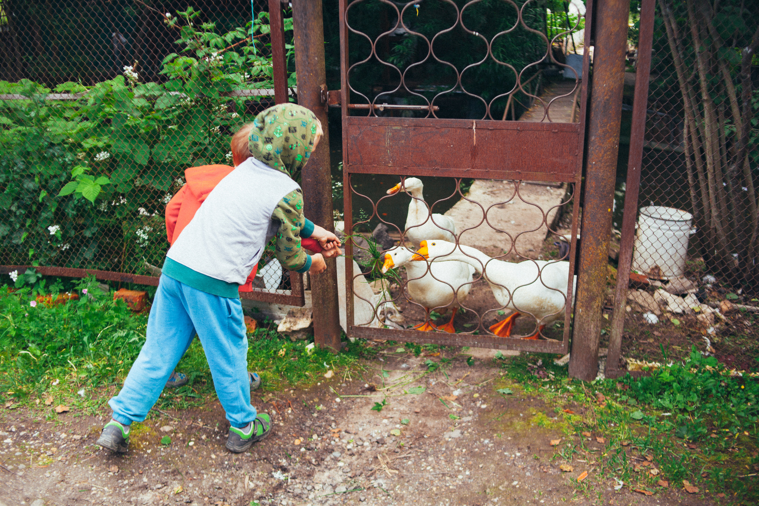 Семьи. Aourica — Фотограф Ольга, Санкт-Петербург, Москва, Гагарин
