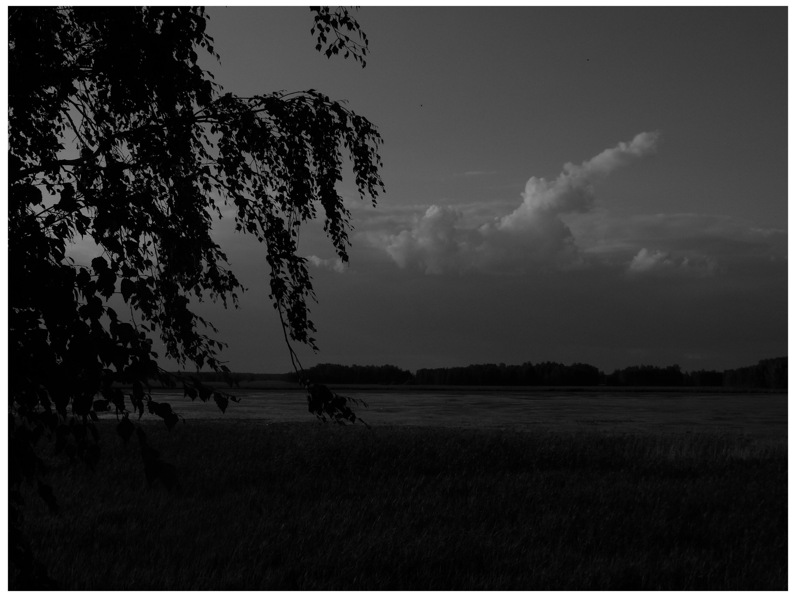 Промежуточные моменты (2022)