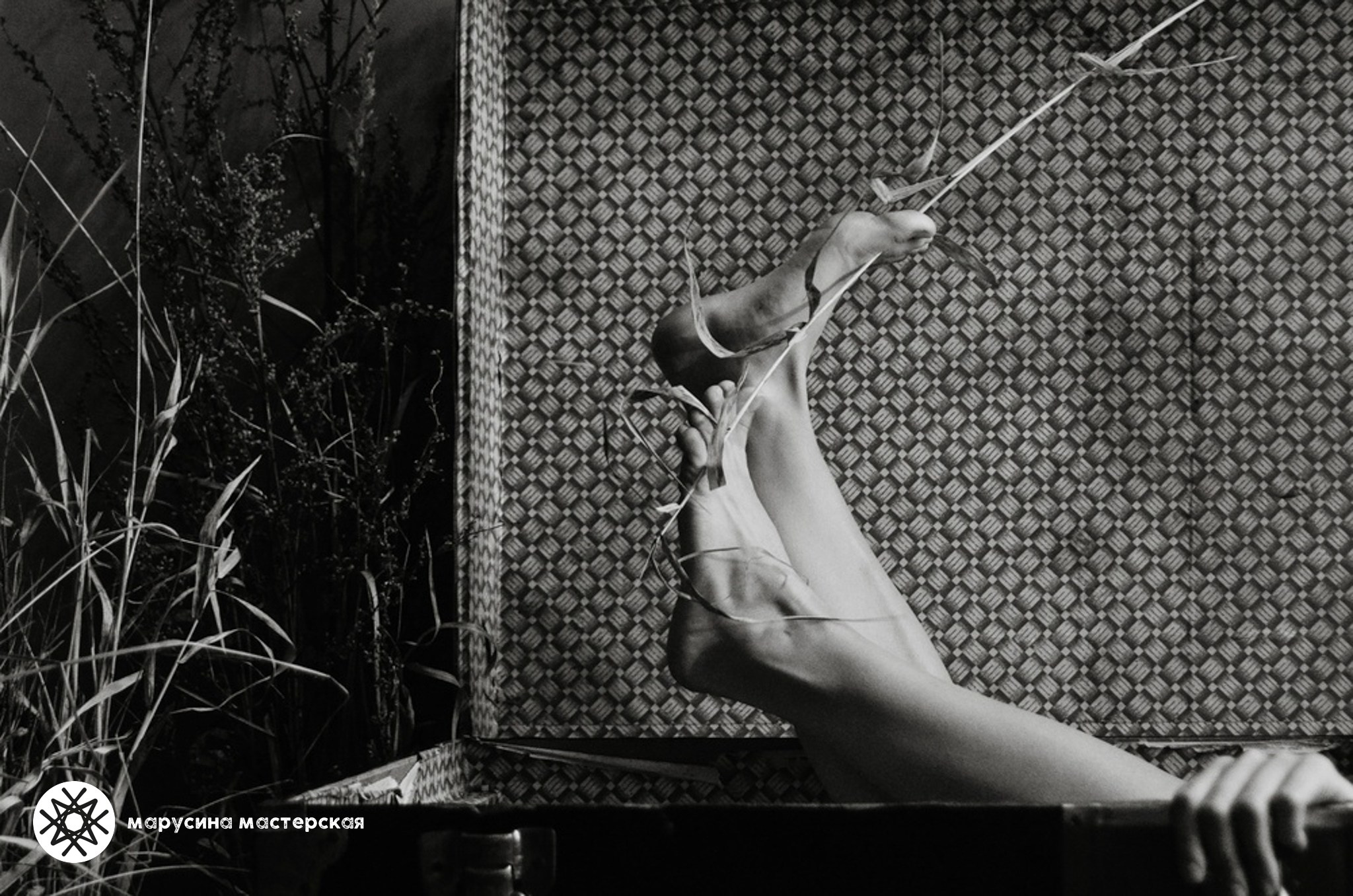 Алёна Лучинина