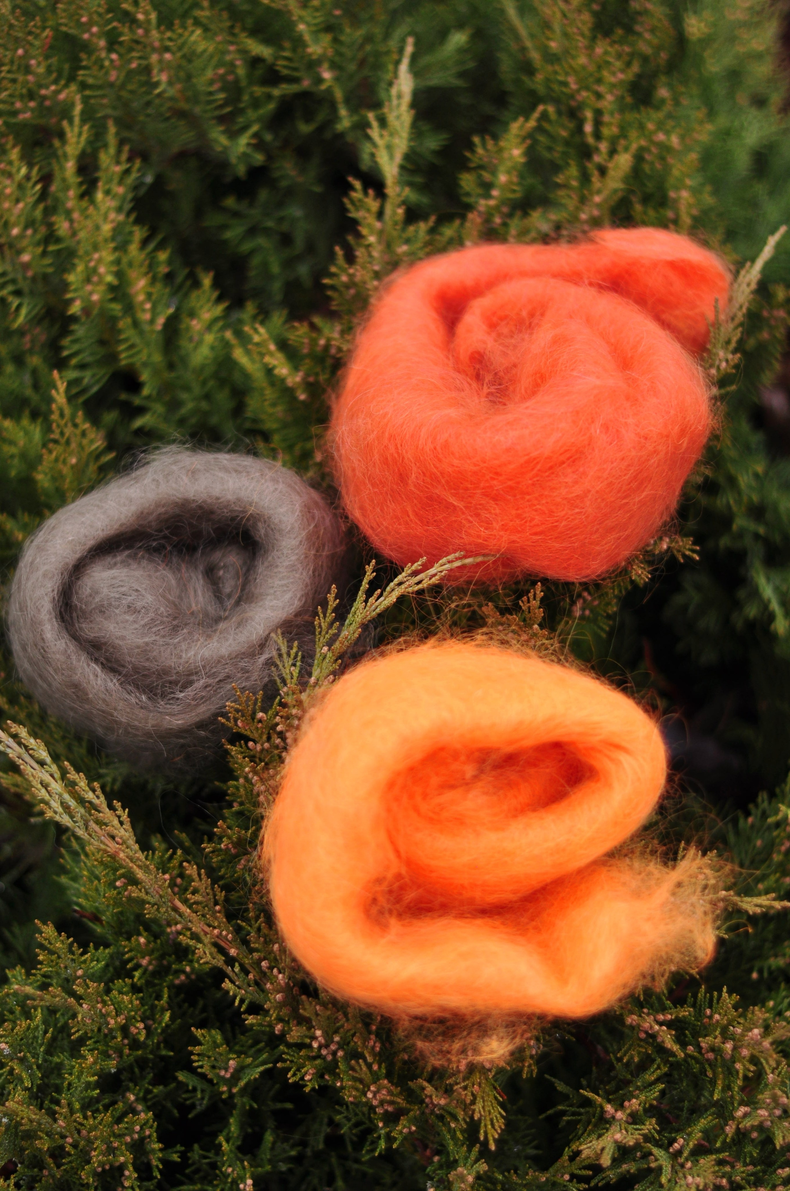 Предметная. Фотограф в Урюпинске