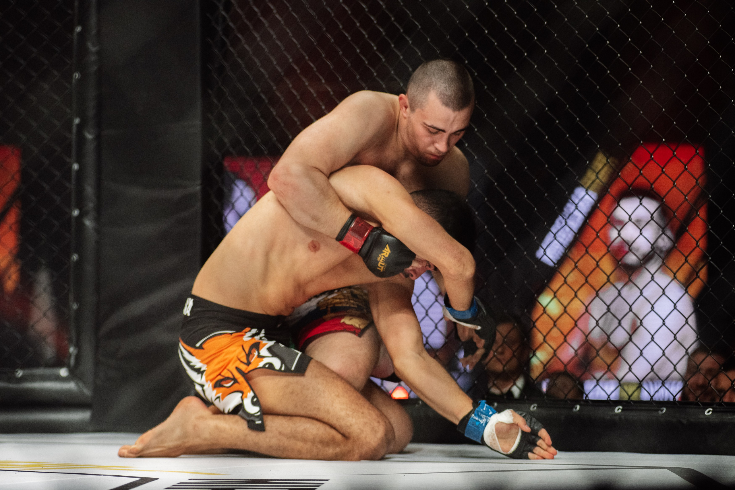 Miroslava Fight