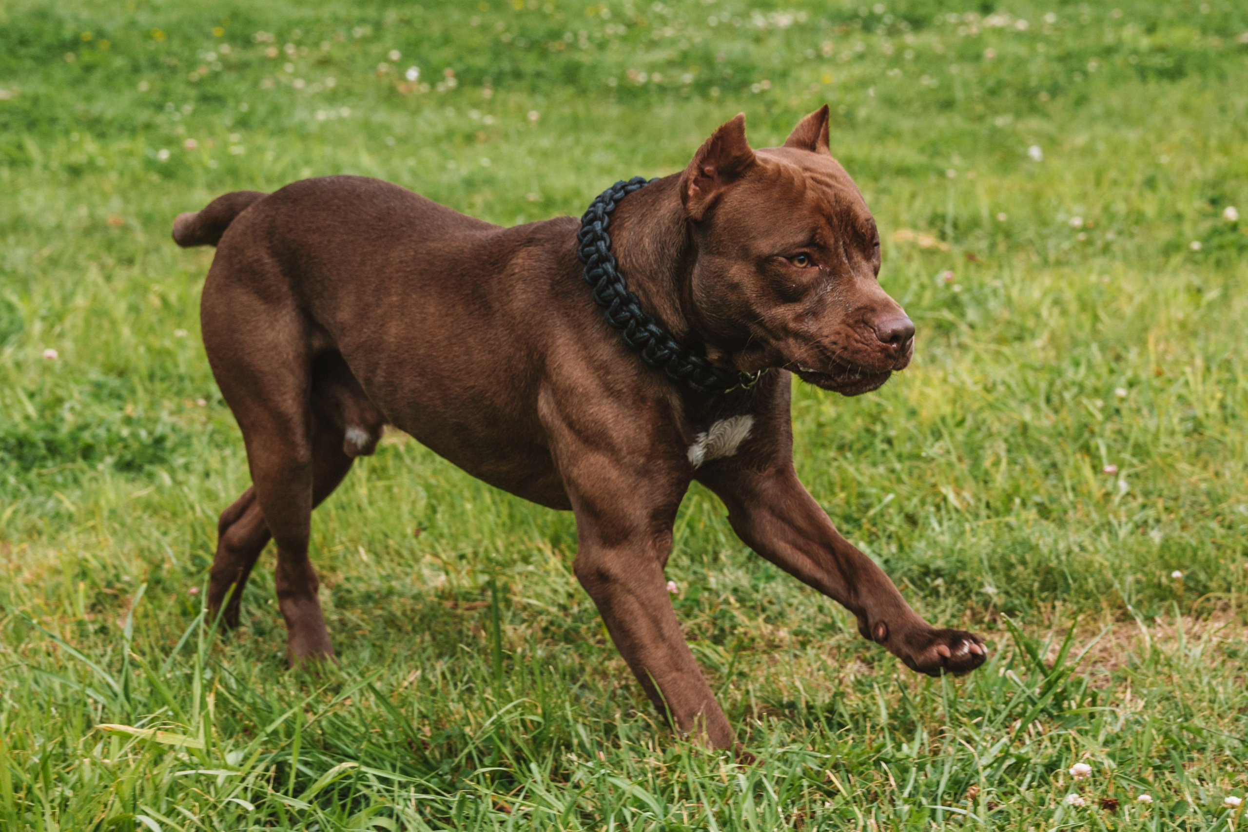 Лав стори фотограф Санкт-Петербург. Свадебный, семейный, портретный, репортажный фотограф в Санкт-Петербурге