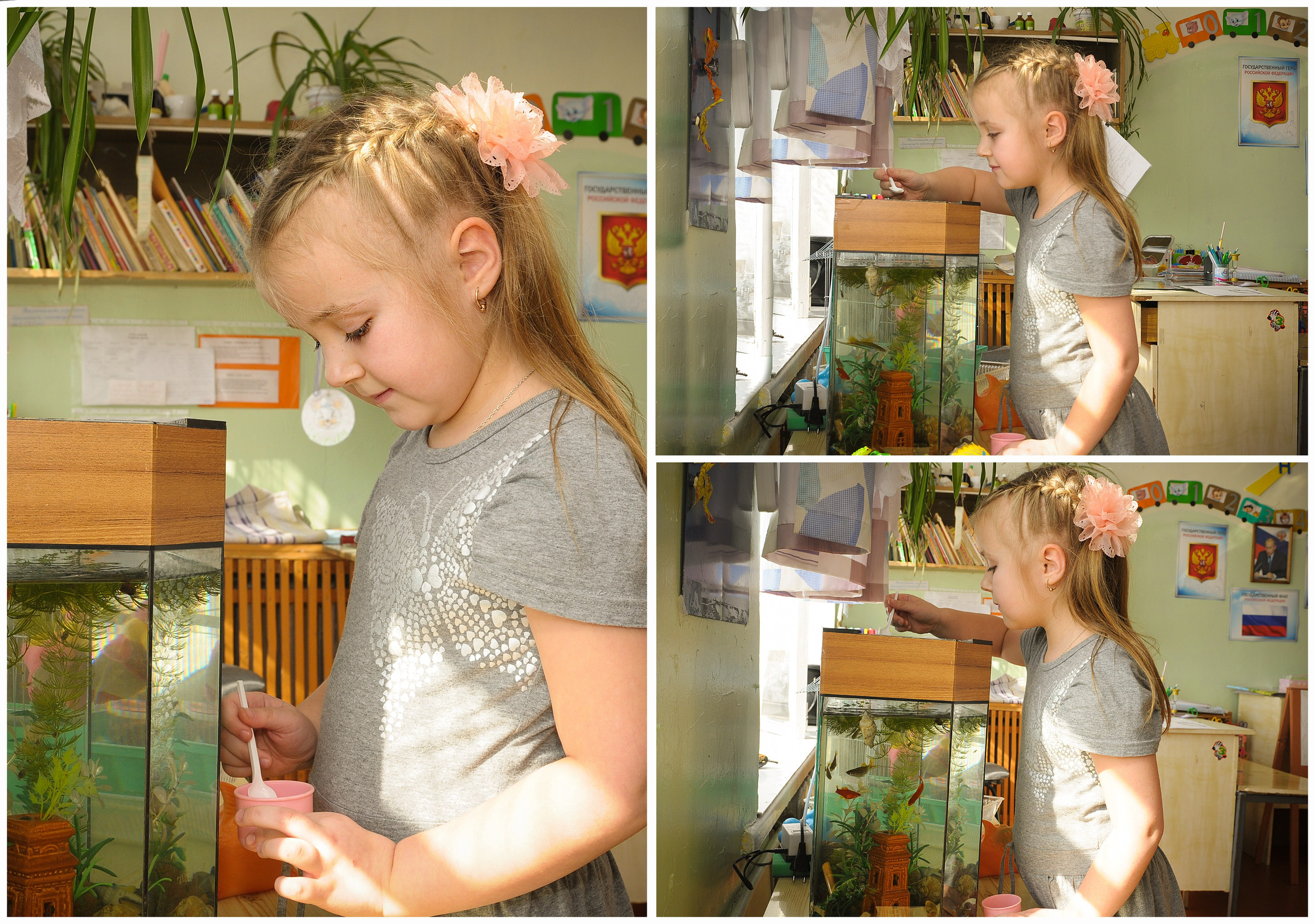 фотограф Абакан выпускные альбомы 