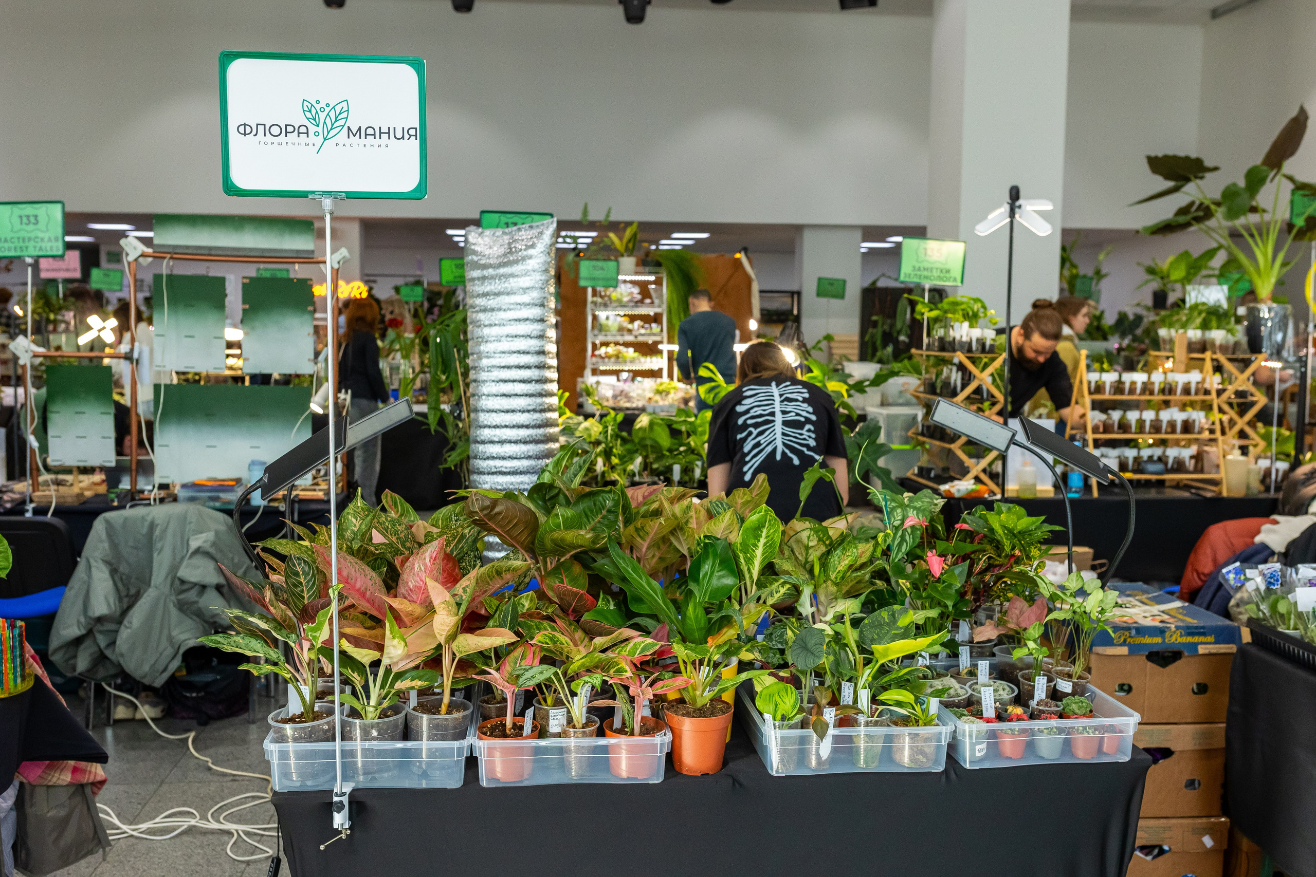 Монстериум апрель 2025. Александра Куликова фотограф, Москва