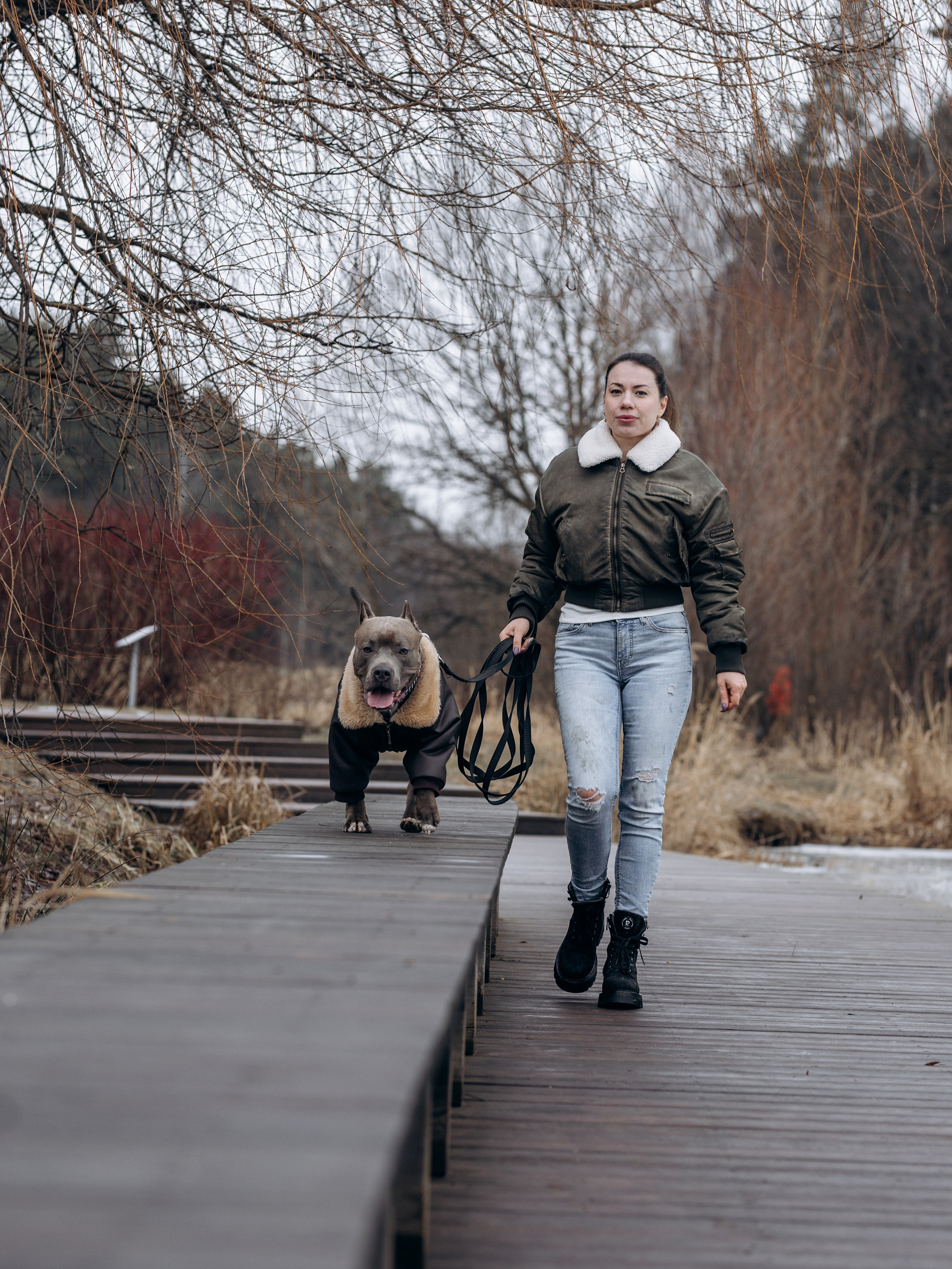 Зевс и Мария. Фотограф-анималист в Москве Кириллова Татьяна