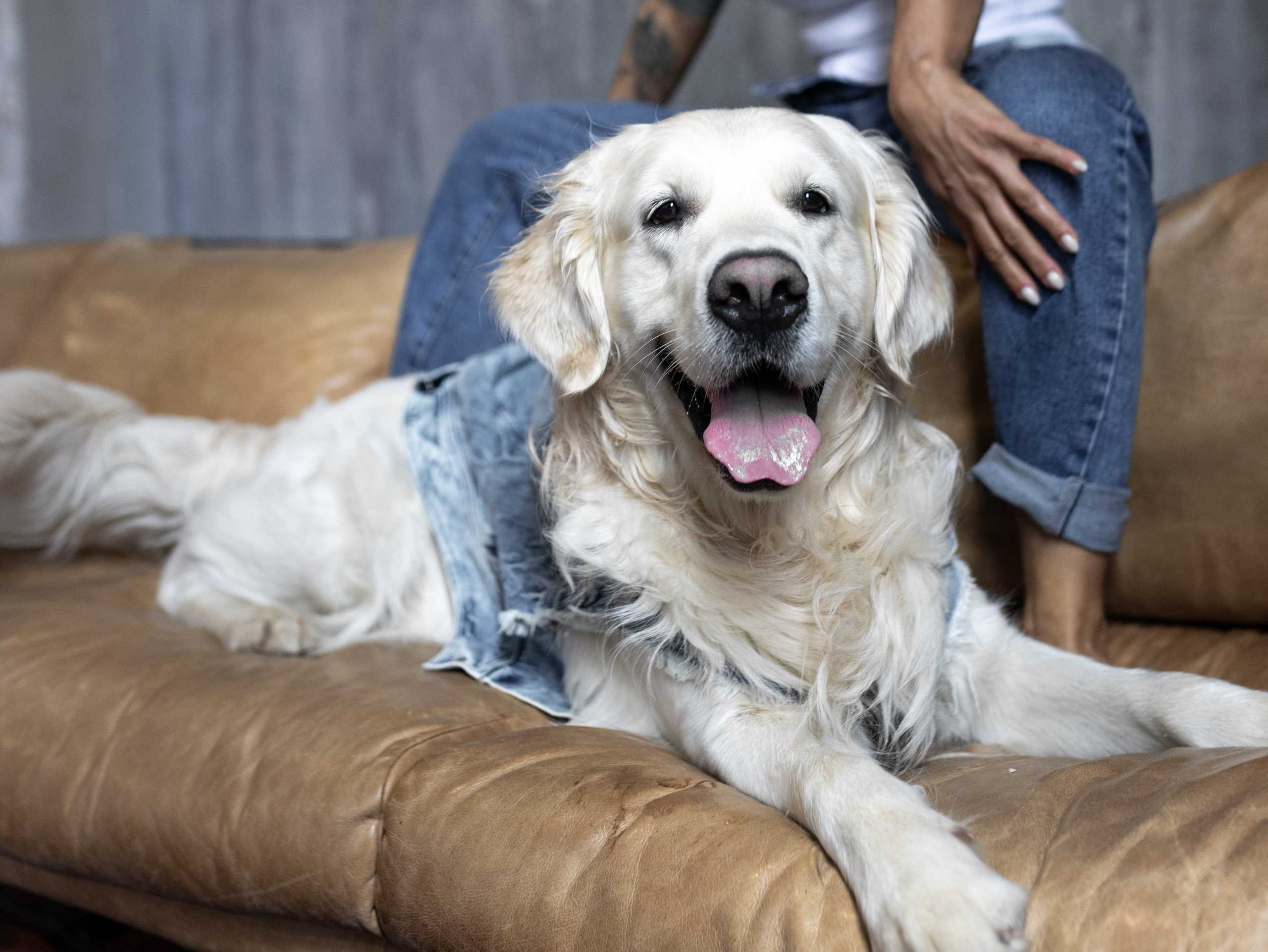 Энди и Настя. Фотограф-анималист в Москве Кириллова Татьяна