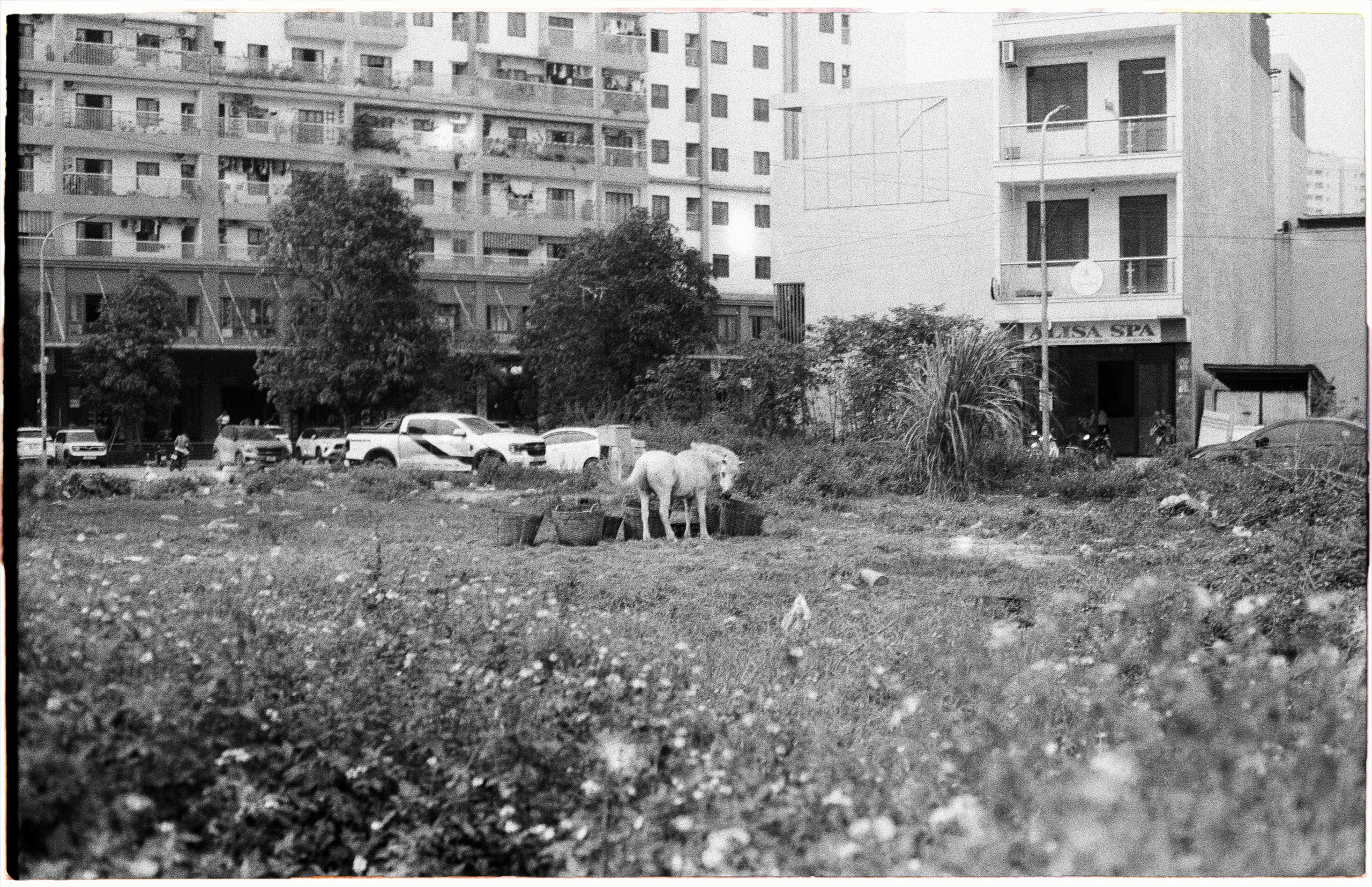 Vietnam «26. Фотограф Полина Треногина