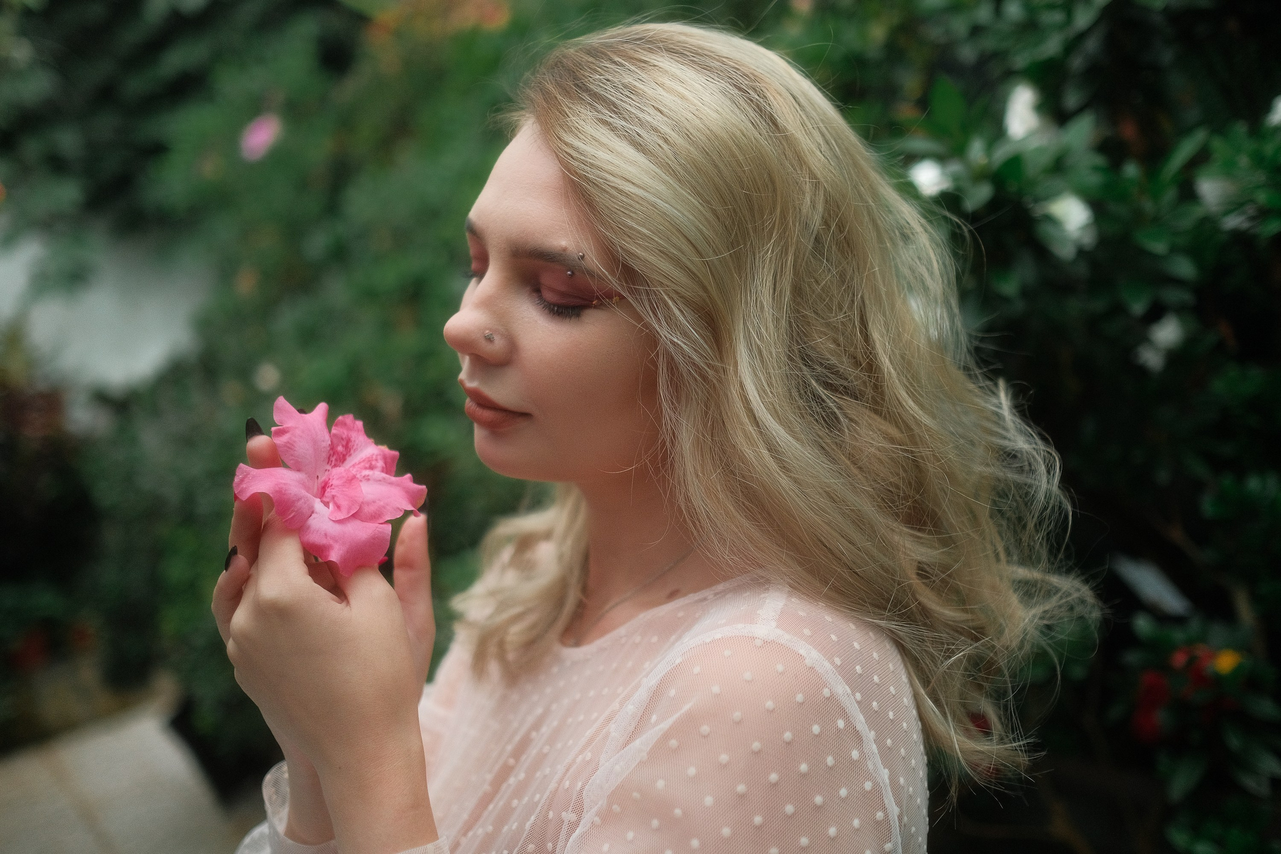 Greenhouse. Aleksandr Schafft