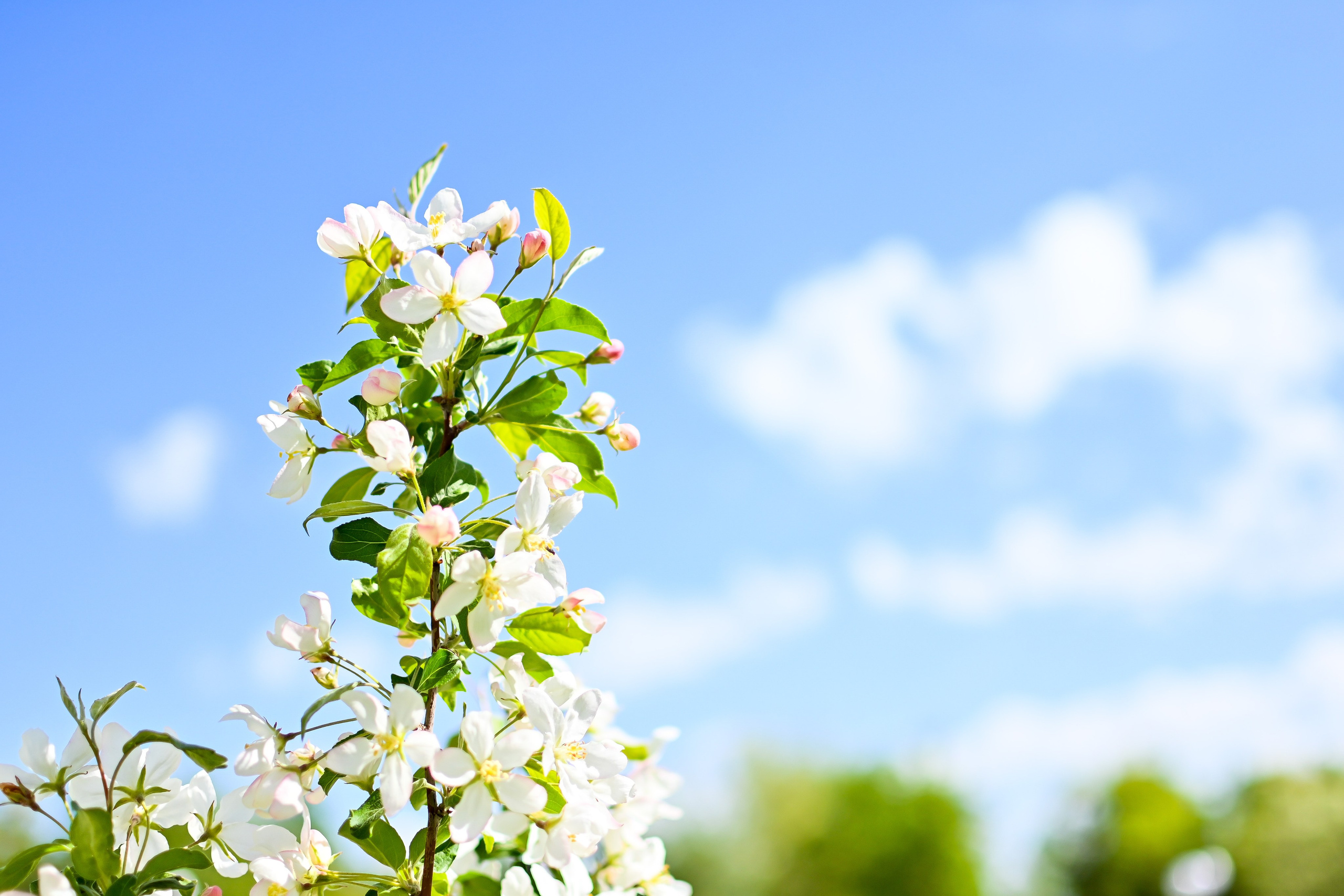 Долголетие.Люберцы. Фотограф для бизнесконтента, репортажей и семейного альбома в Москве