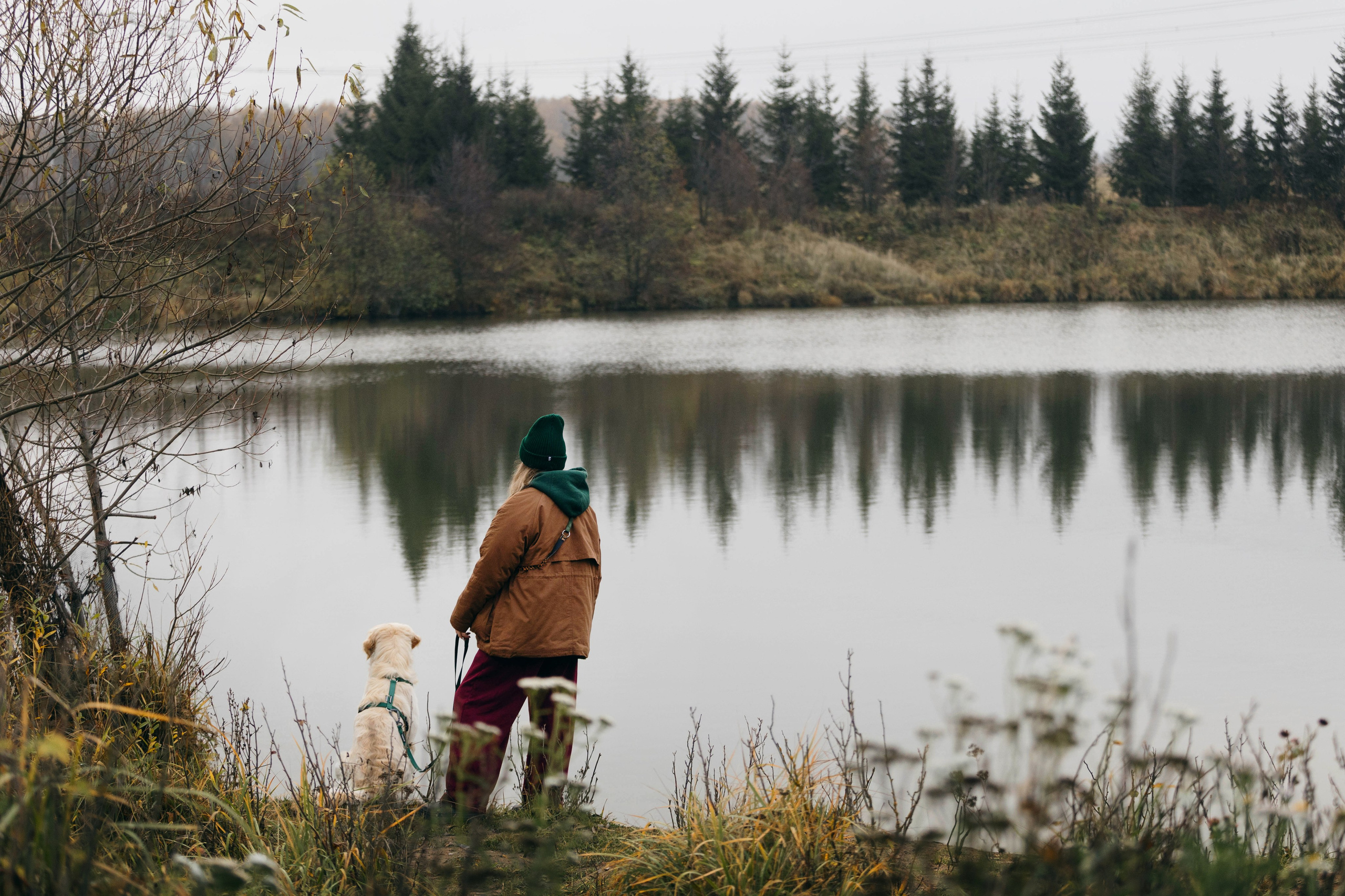 Dogcamp / Полина и Миша. Фотограф Кузина Вера