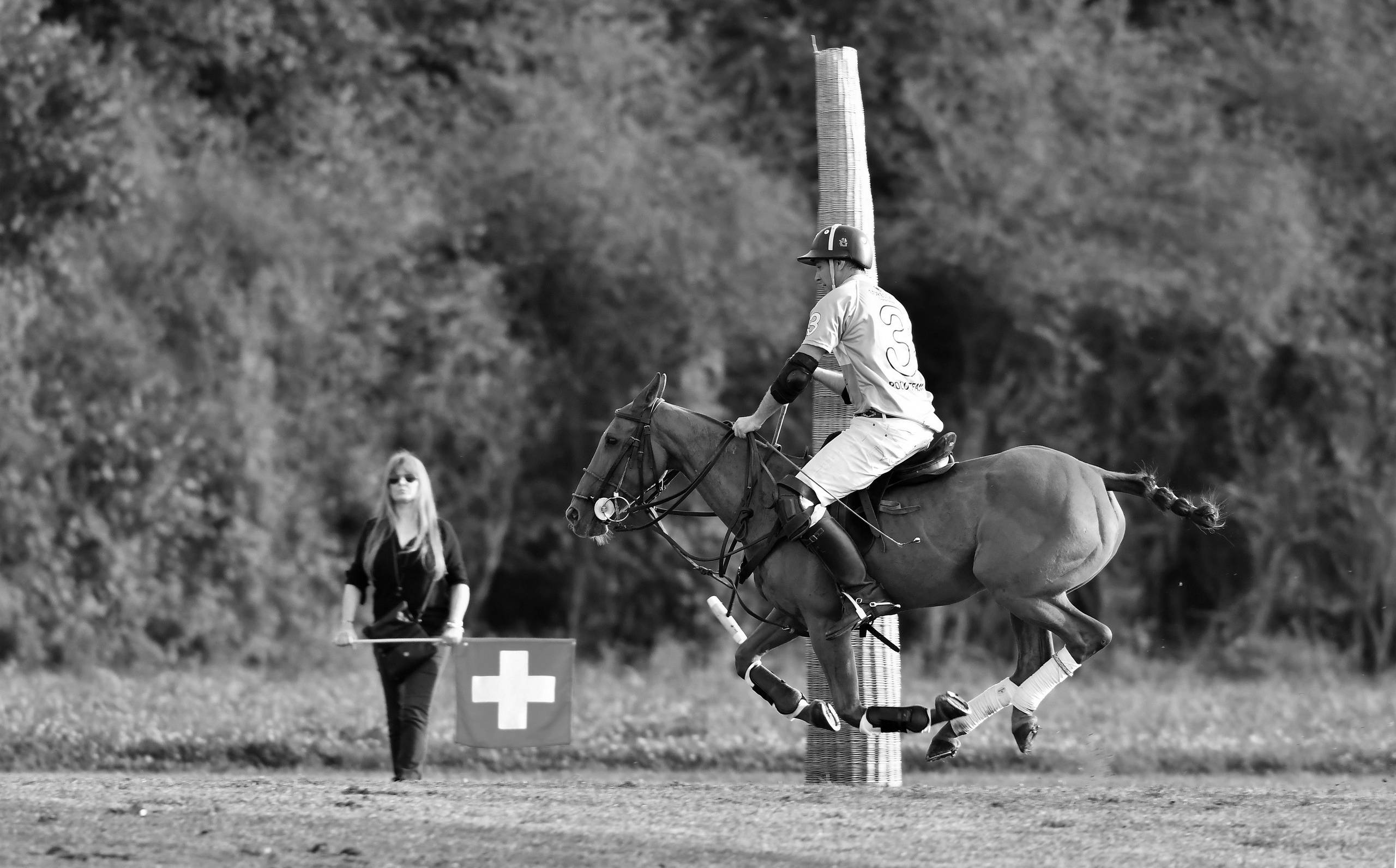 Polo art photos. Art photos of horses — ARTUR BABOEV | Photographer