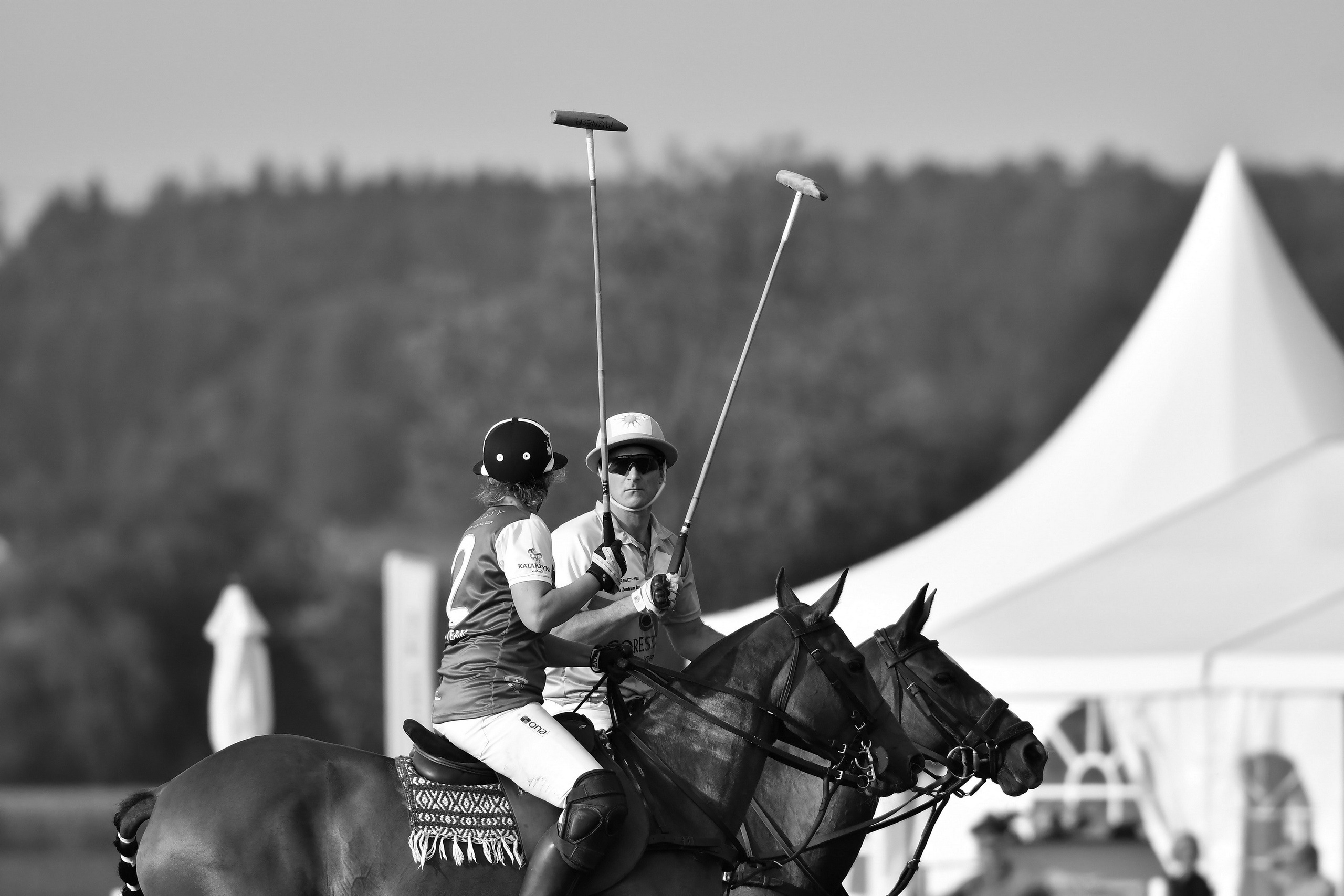 Polo art photos. Art photos of horses — ARTUR BABOEV | Photographer