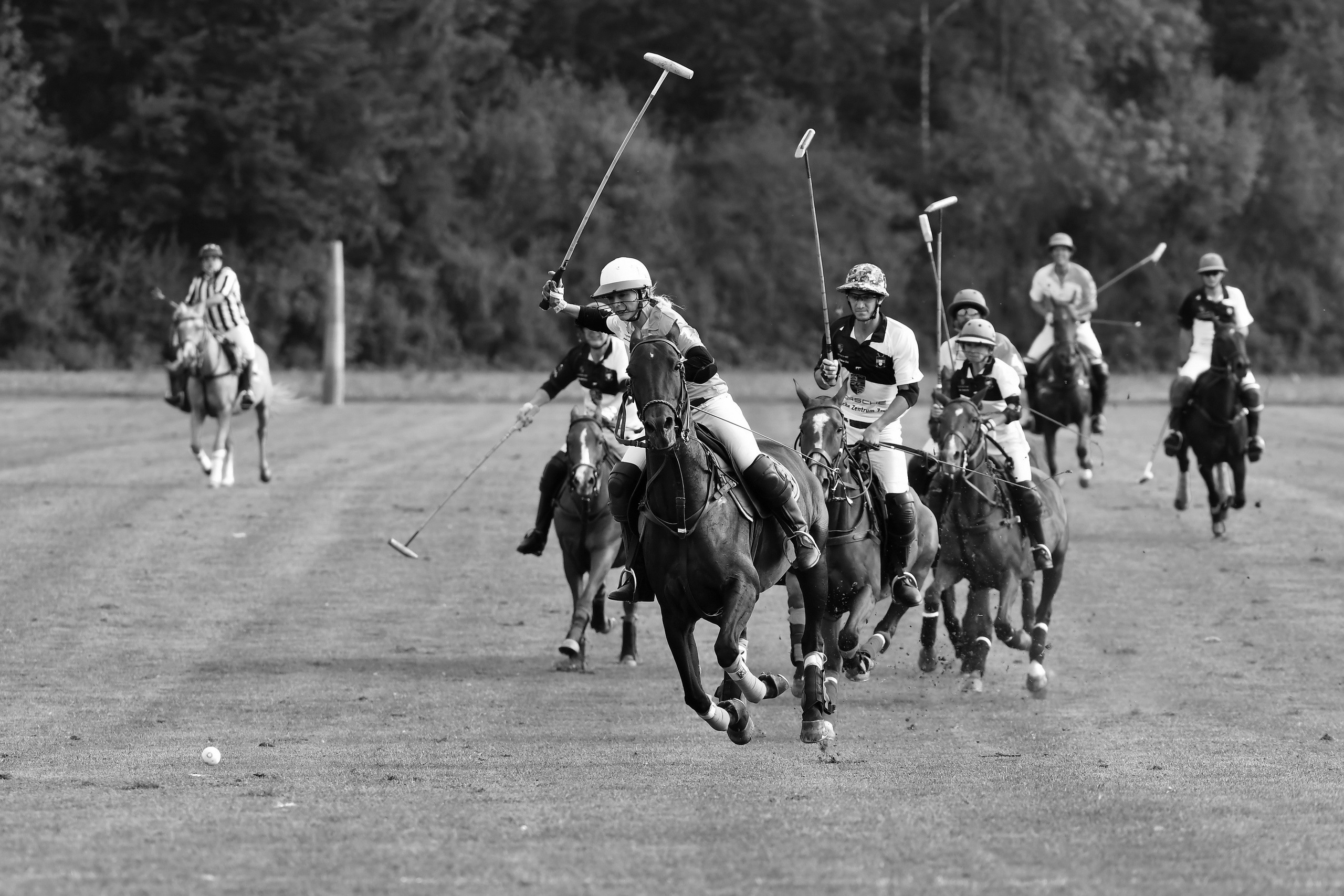 Polo art photos. Art photos of horses — ARTUR BABOEV | Photographer