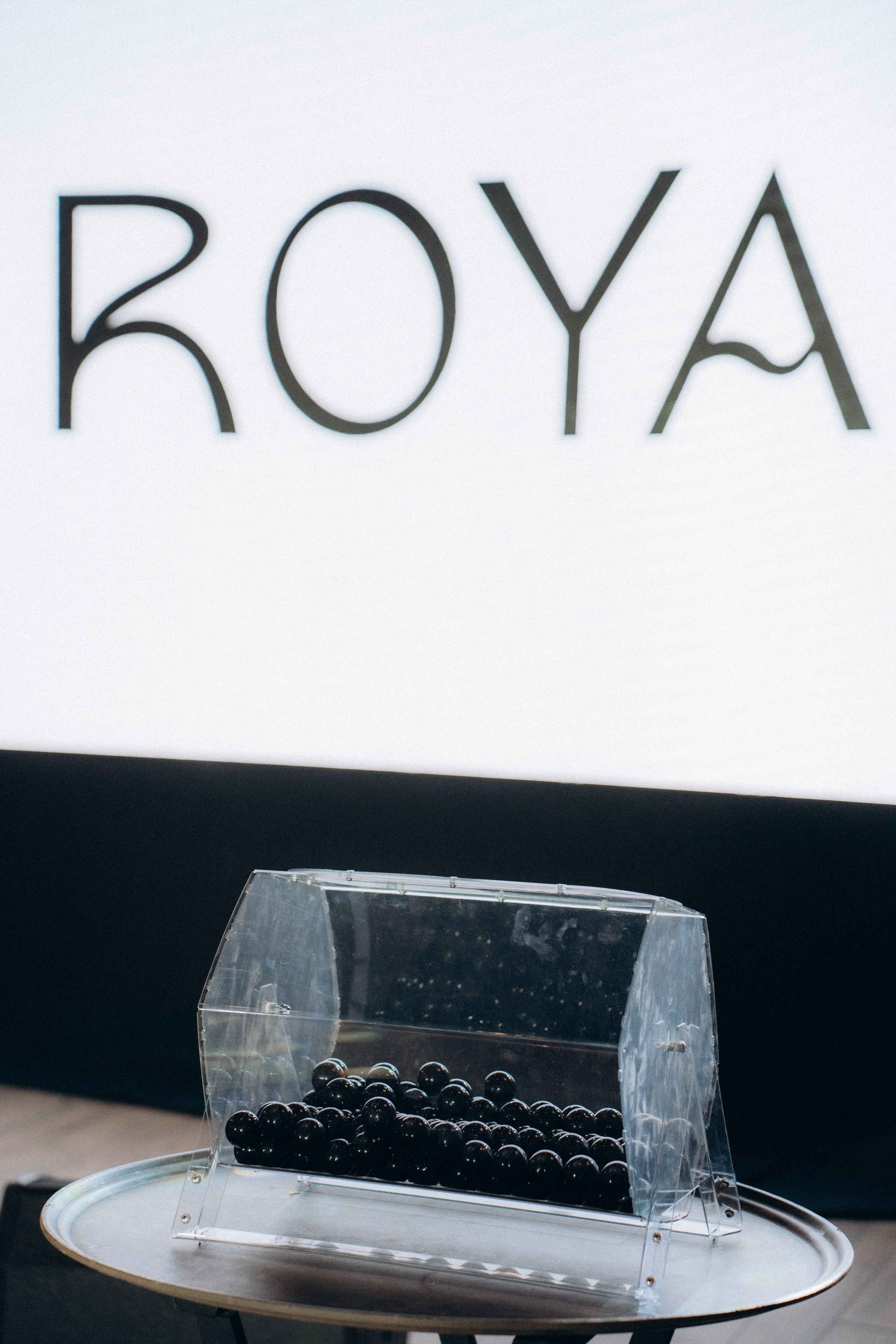 Roya. Фотограф Москва Селюкова Юлия