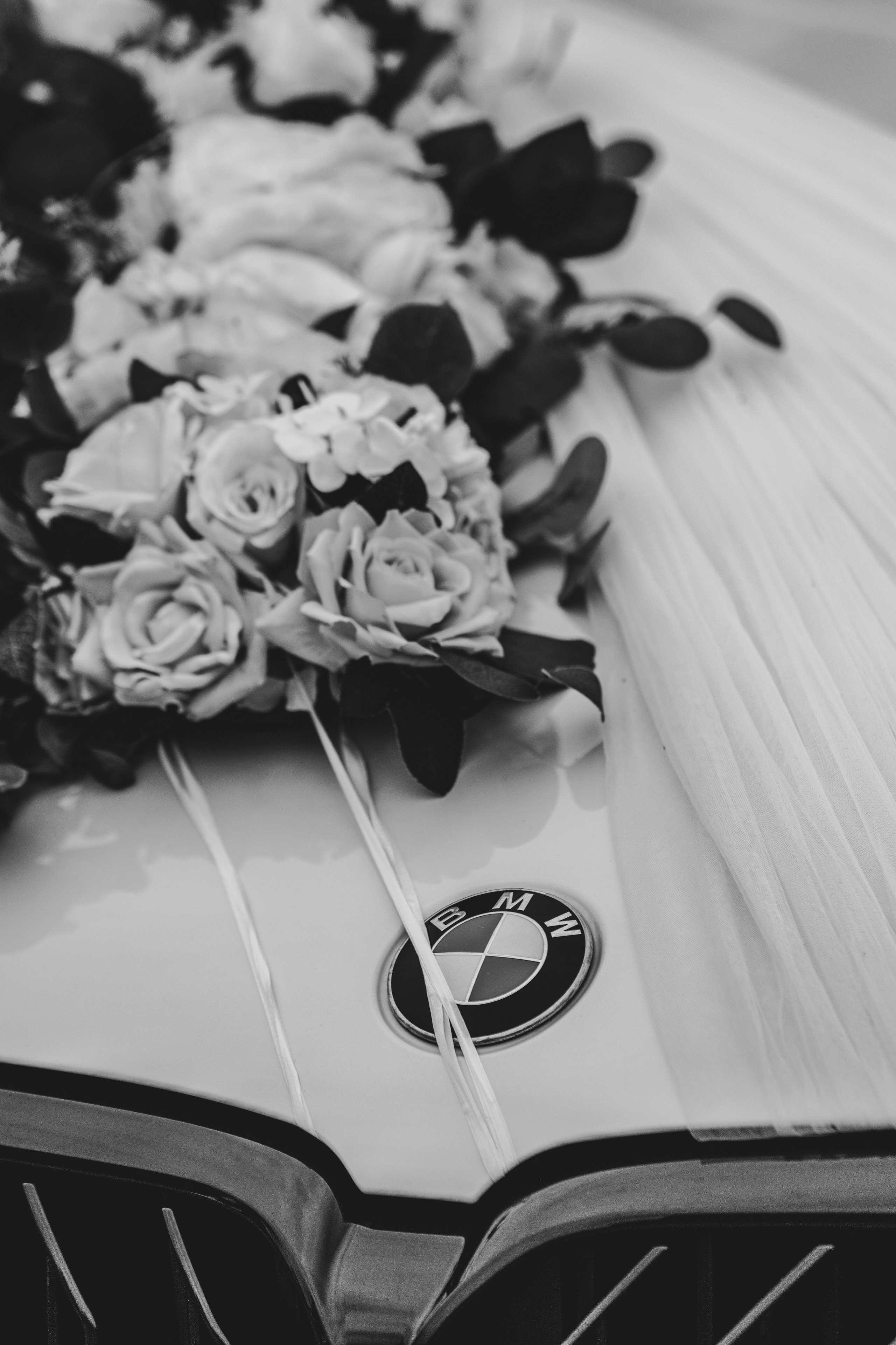 Прогулка Мурад и Екатерина. Репортажный фотограф Анапа