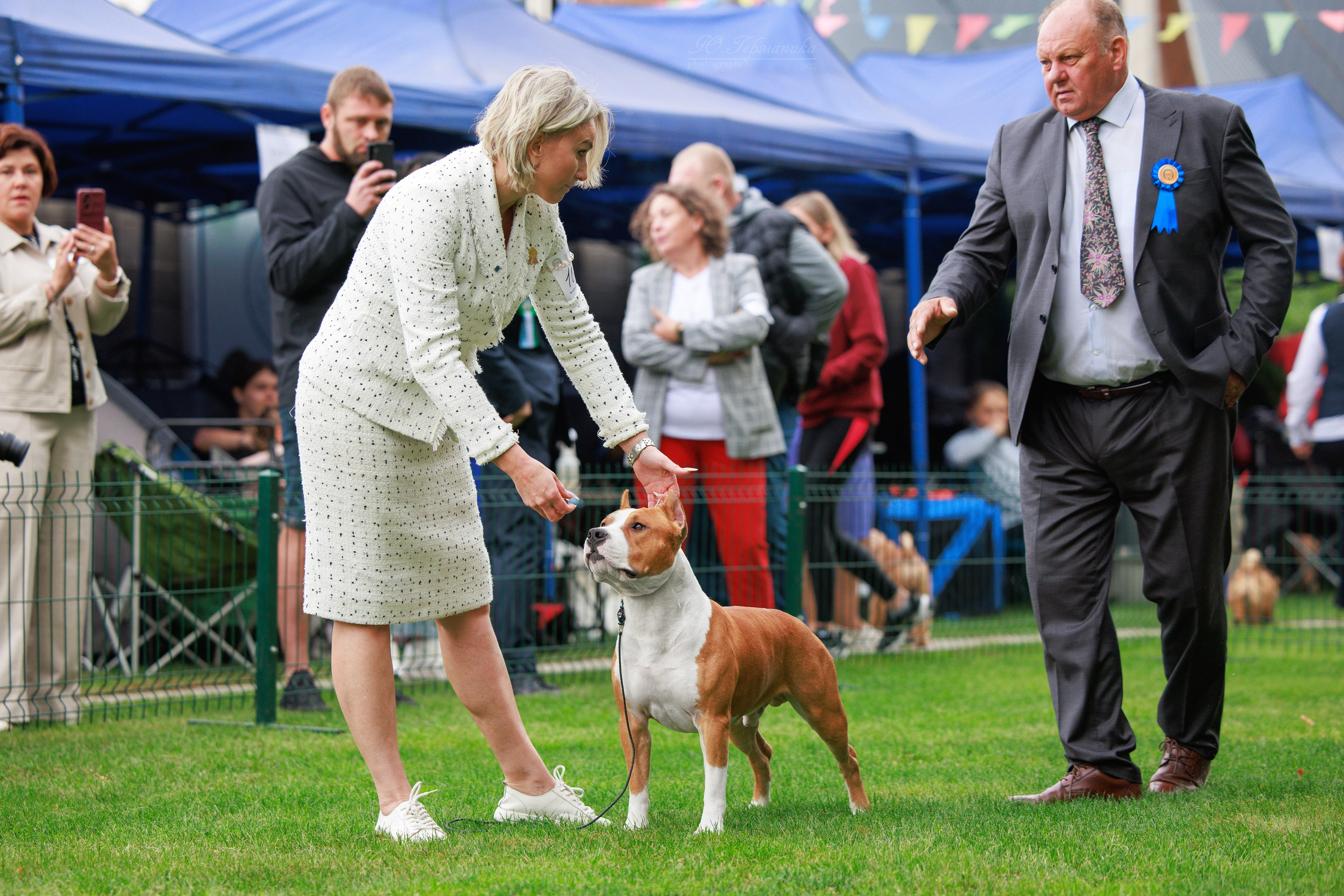 Бишкек 3х CACIB 26-28.09.2025. Фотограф-анималист Юлия Германика
