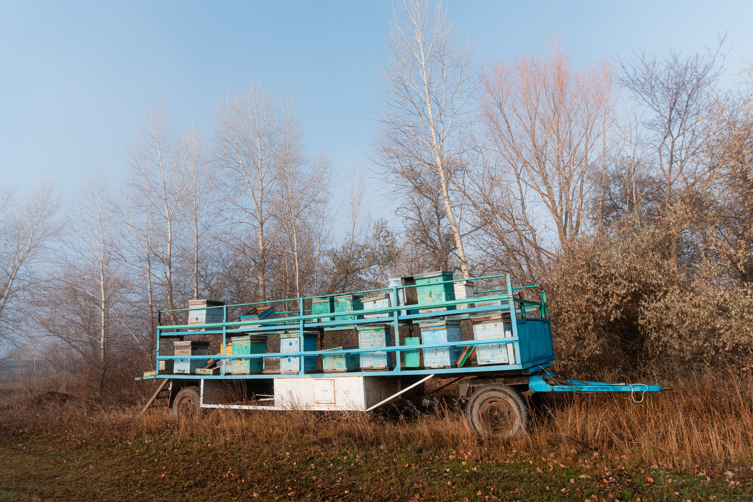 Фотографии утреннего тумана под Волжским. Фотограф в Волгограде и Волжском Александр Горбань