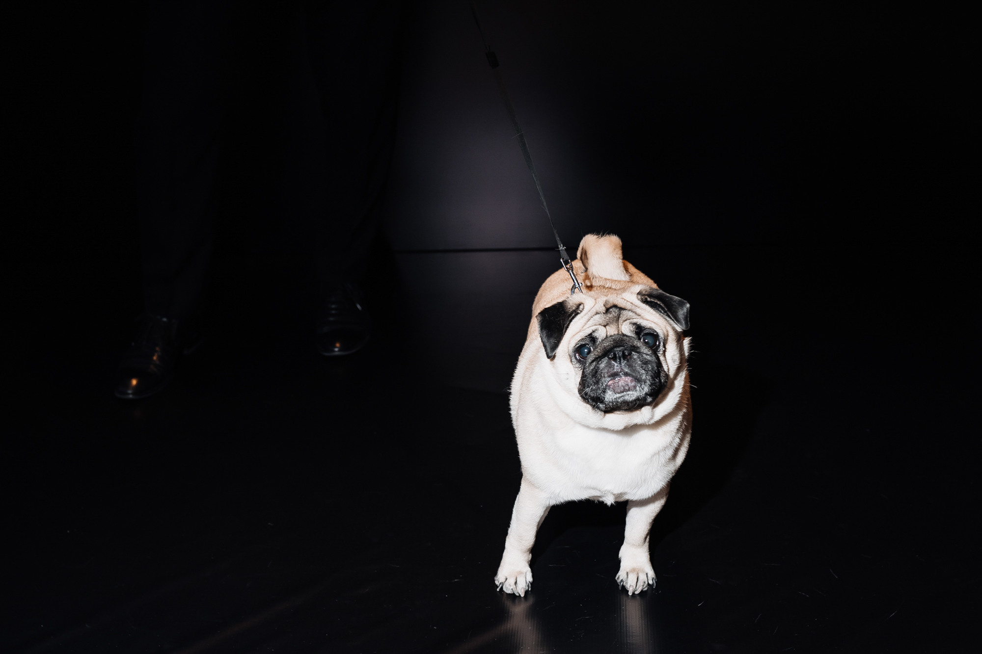 MIB Hilton Astana. Свадебный фотограф в Астане