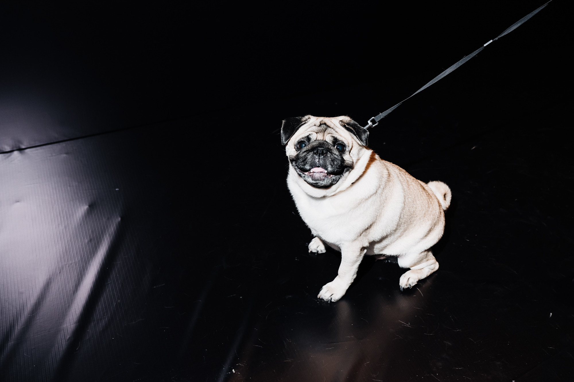 MIB Hilton Astana. Свадебный фотограф в Астане