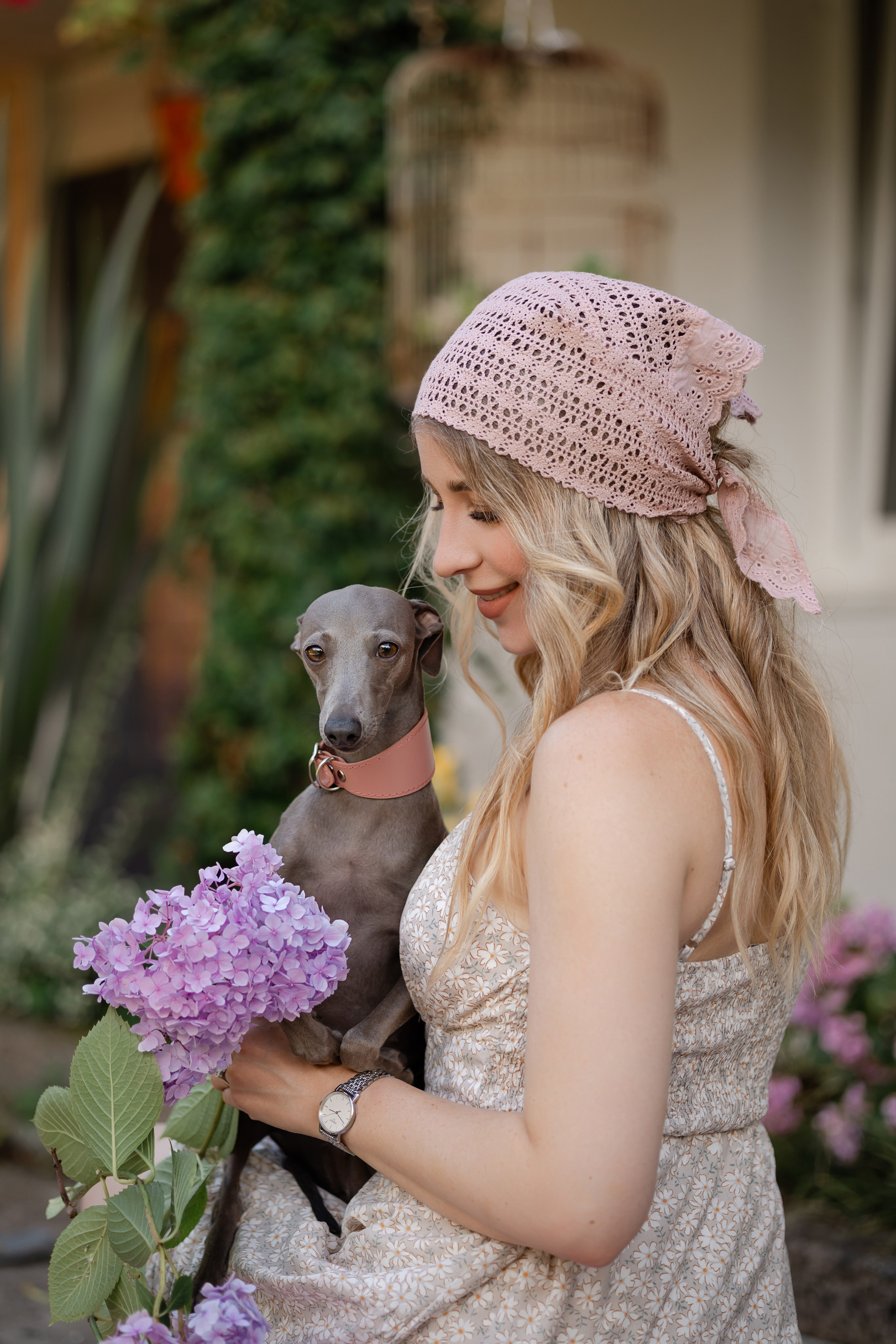 Роза. Профессиональный питомник левреток РКФ/FCI ASTI SAPPHIRE 💎 Сочи|Санкт-Петербург