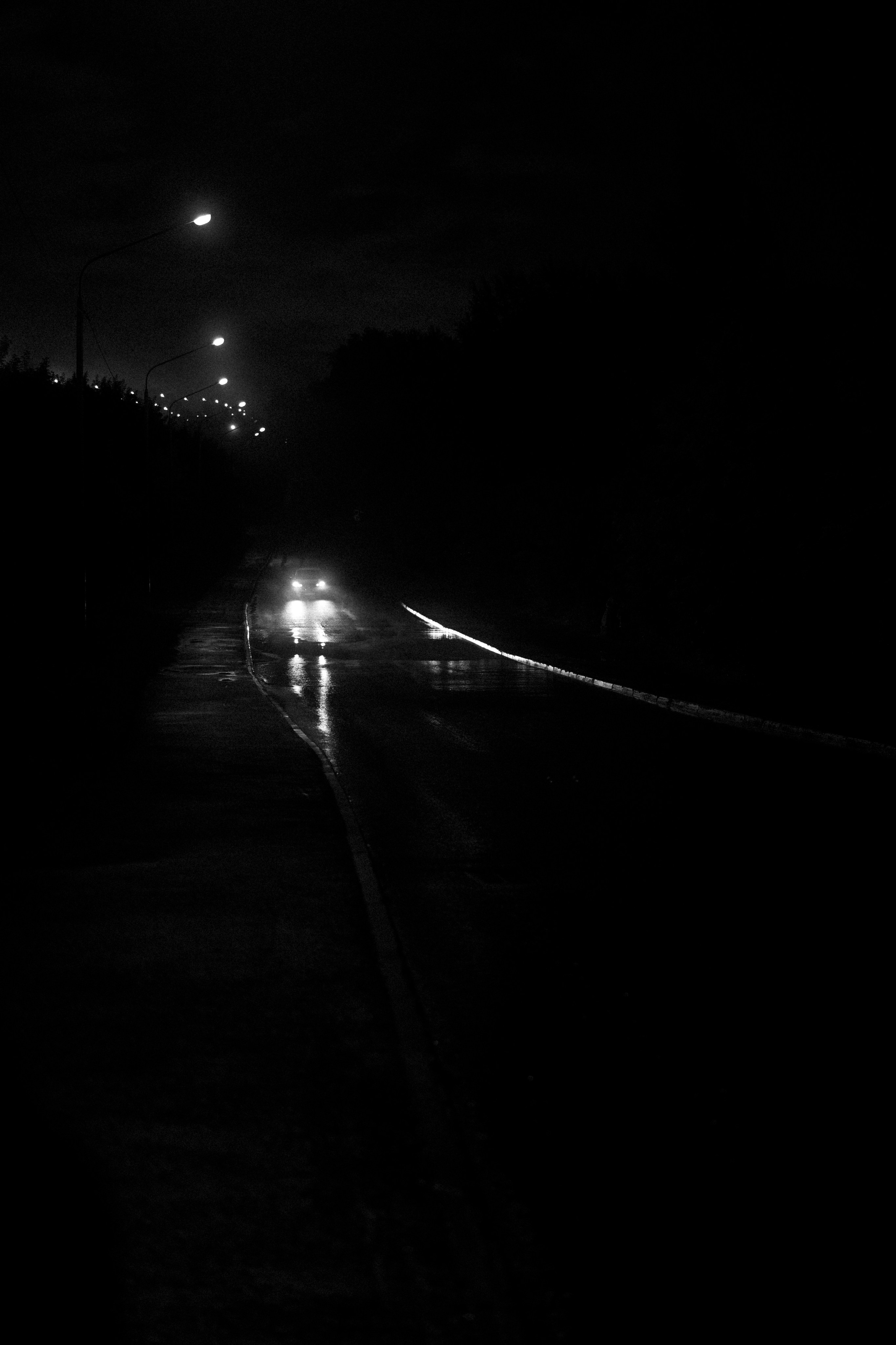 Прогулка после дождя. Veronika Popadeikina Photographer