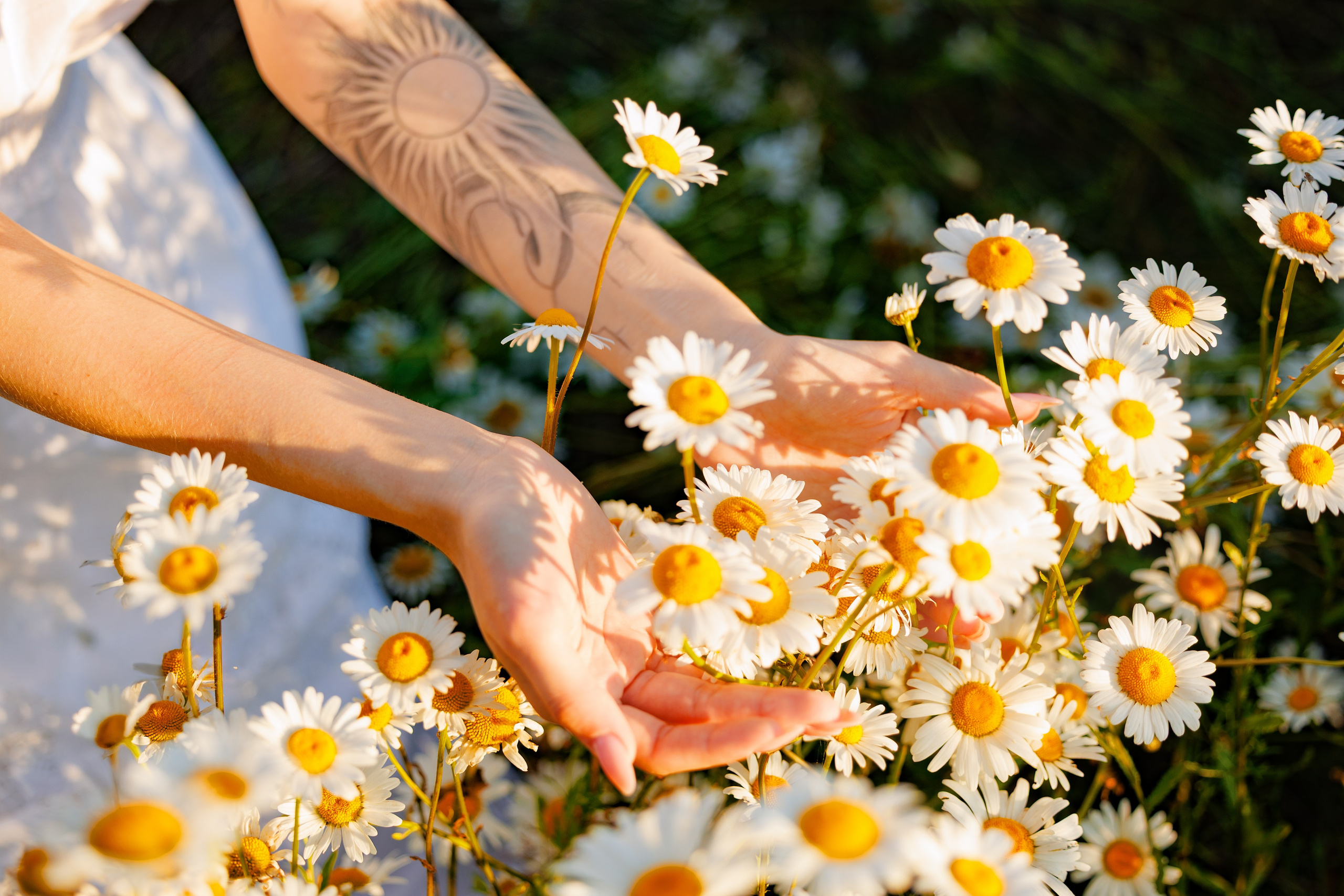 Портфолио бренд-фотографа — фотосъёмка людей в Москве и области. Фотограф-анималист и бренд-фотограф в Москве | Фотография собак, людей, бизнес-портрет