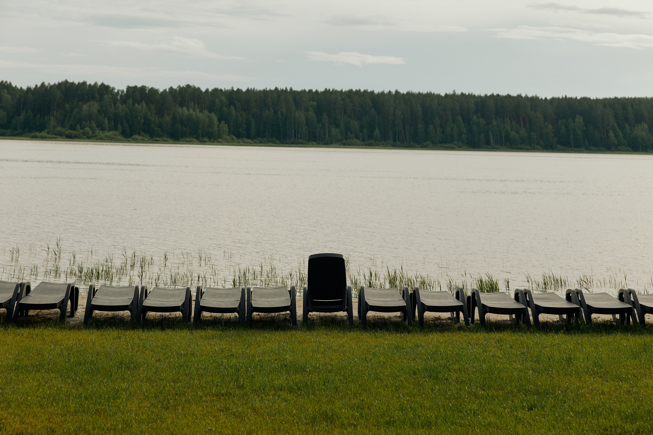 BG. Дмитрий Мазуркевич: Профессиональный Репортажный Фотограф