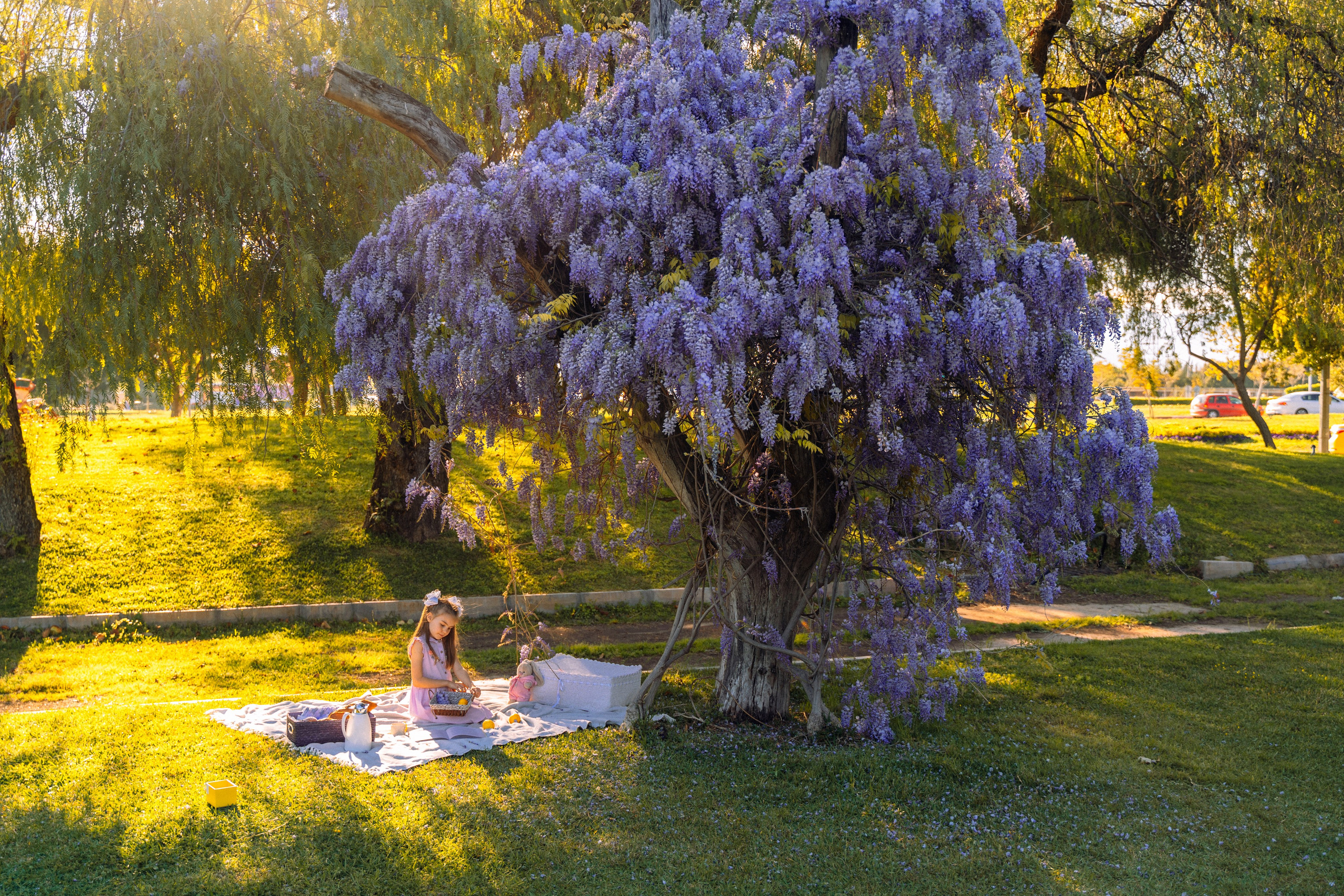 Photo Picnic. Family Photographer Ksenia Kos