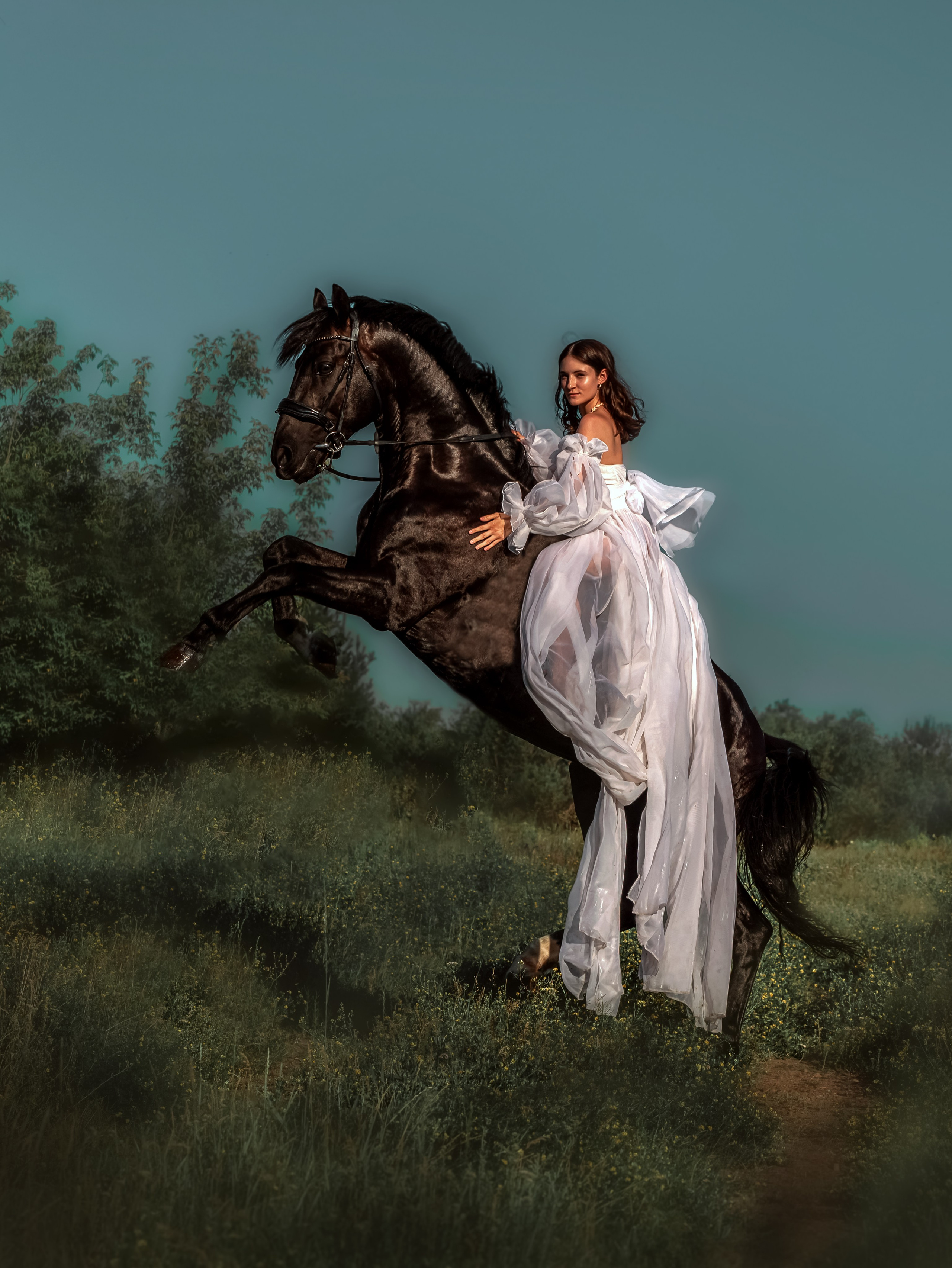 Лошади Емельяново. Конный фотограф в Красноярске — Любовь Похабова