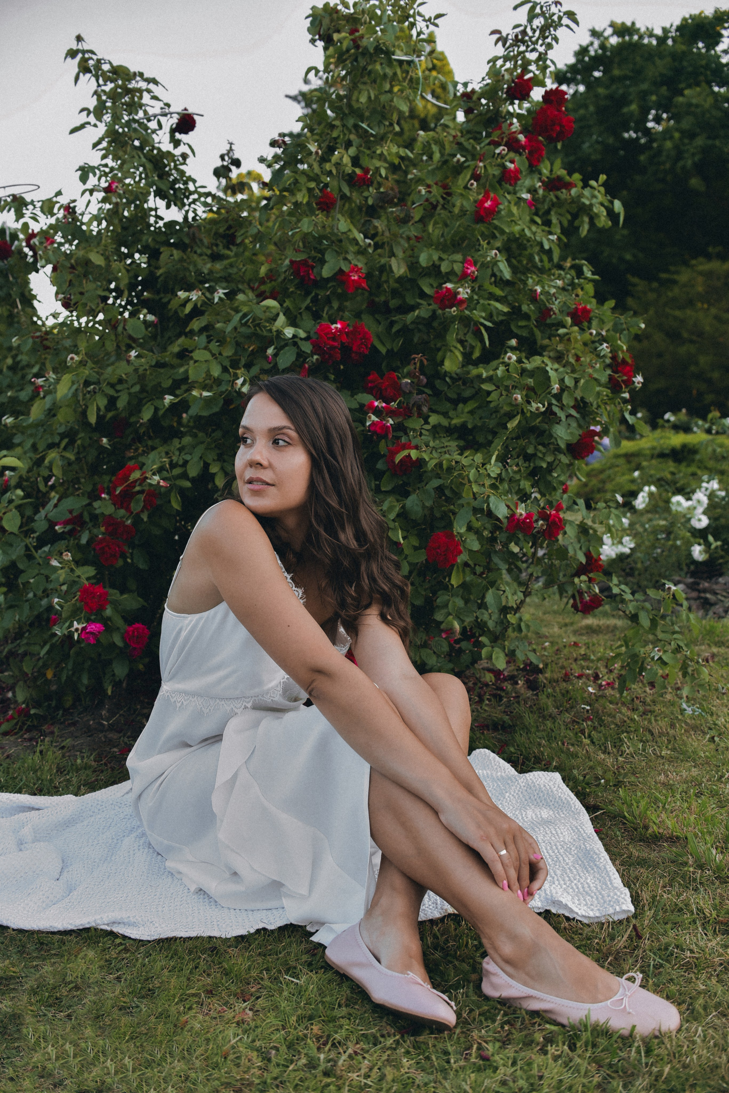 Розовая роща. Семейный фотограф Milena feel it